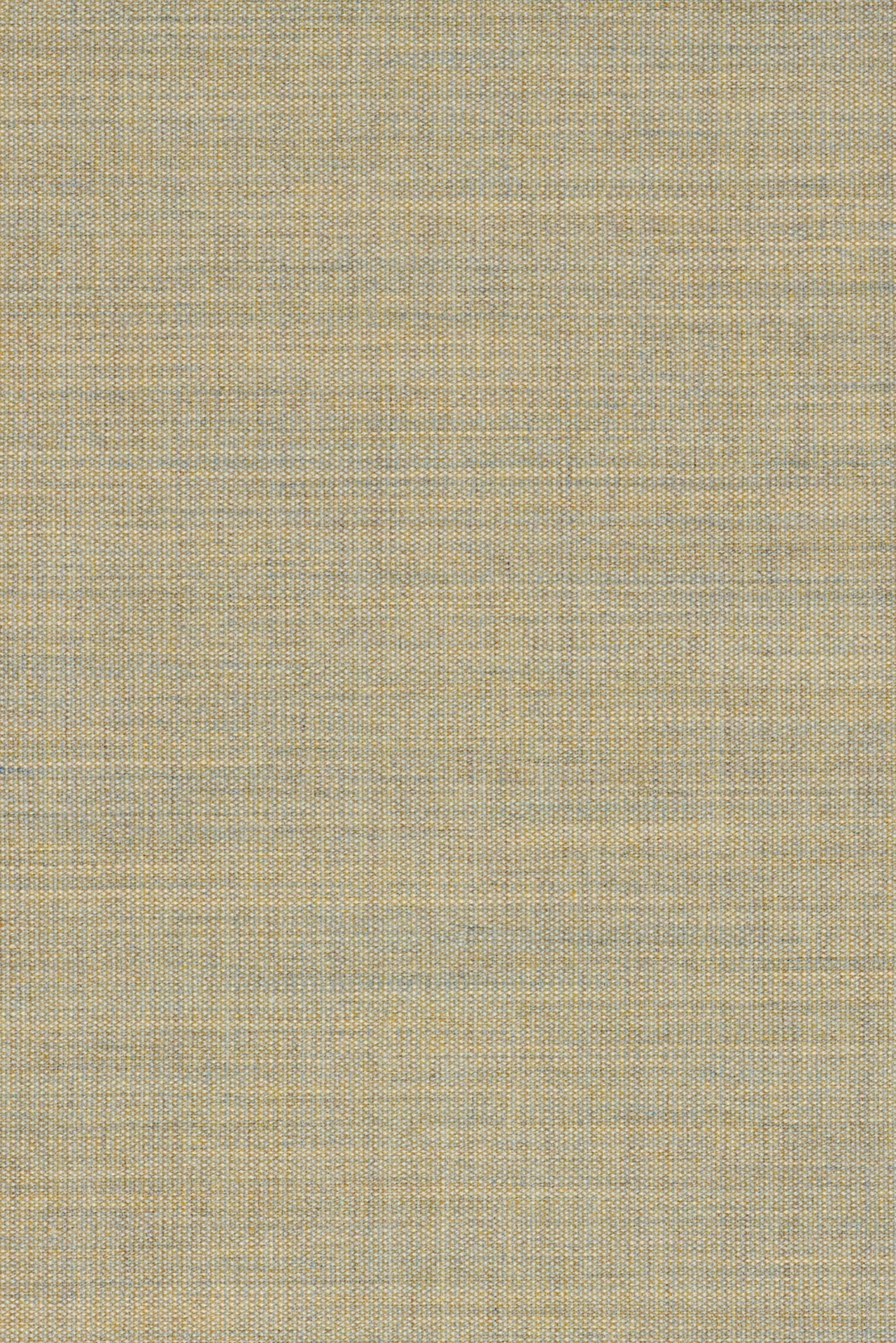 224
