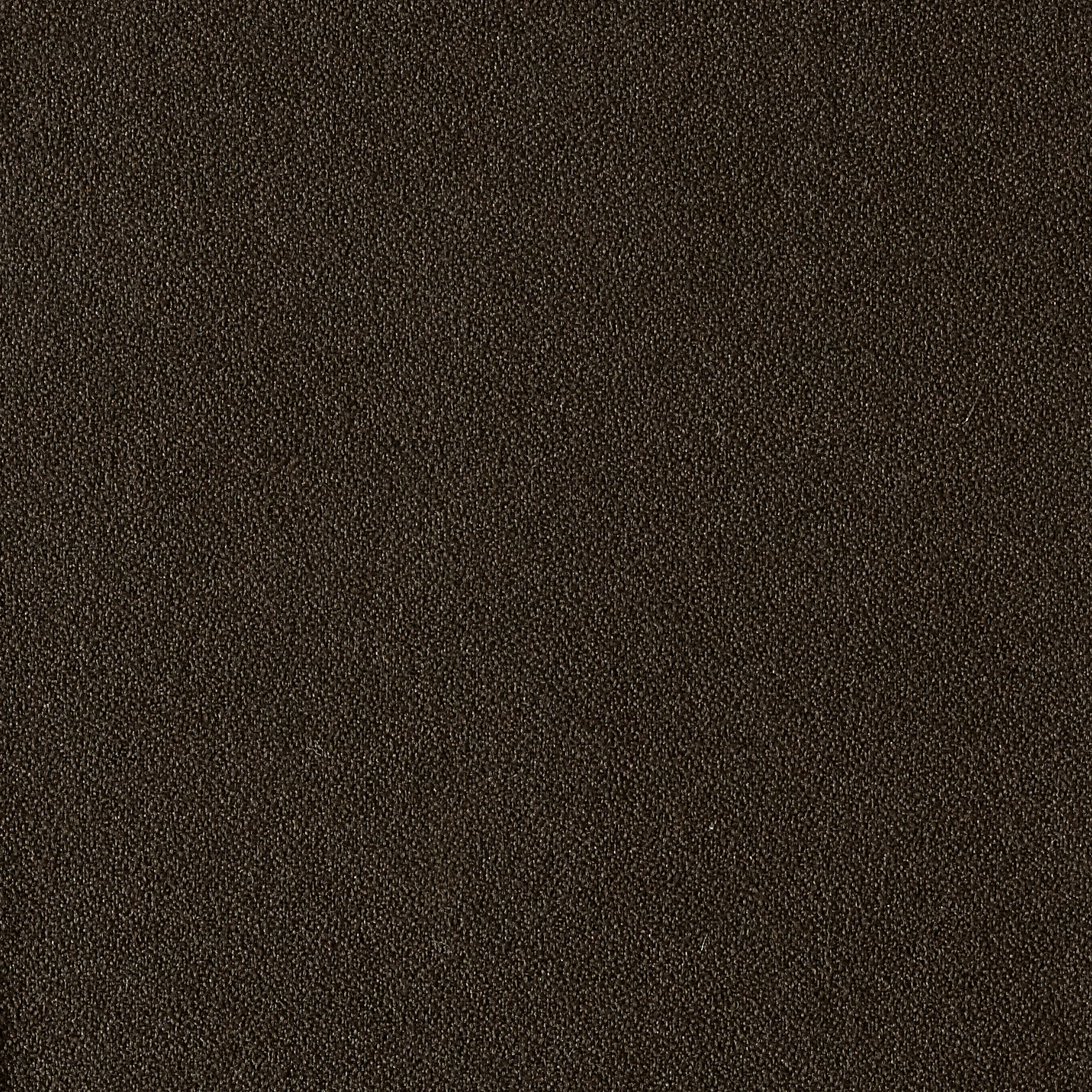 Seed