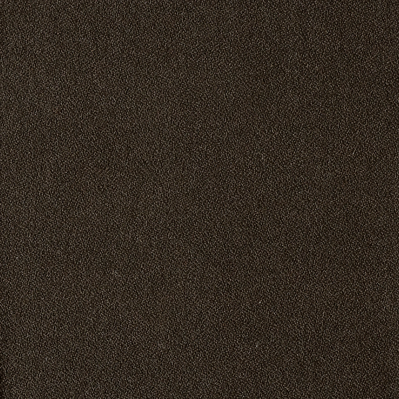 Seed