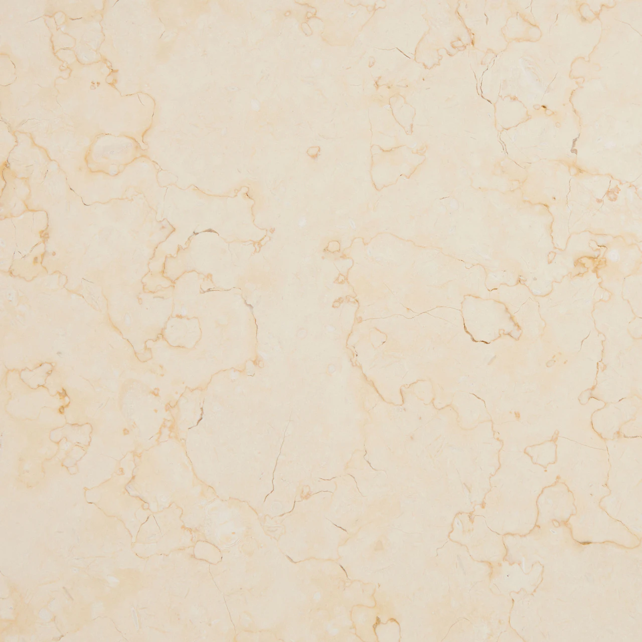 Beige Crema Diva