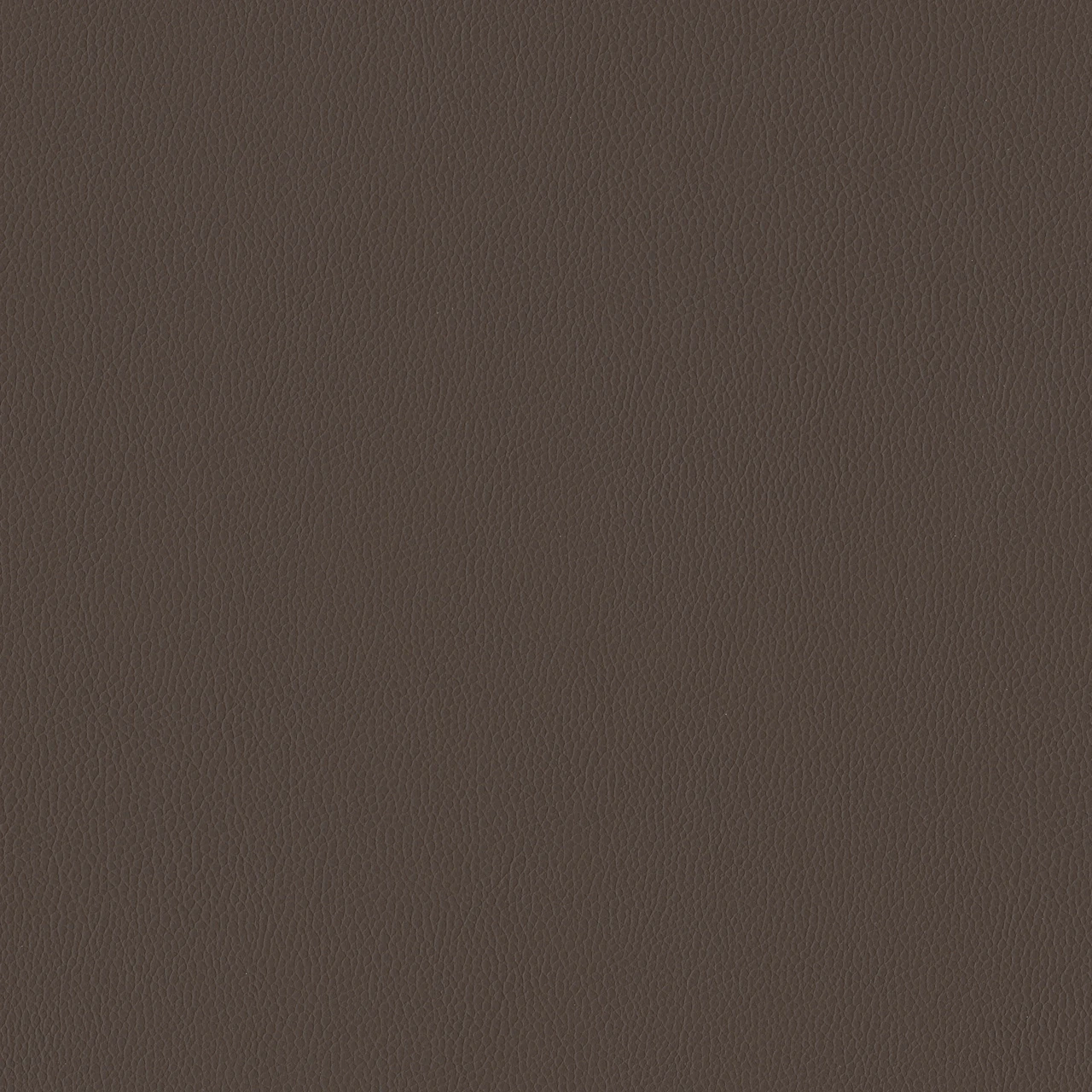 Umber