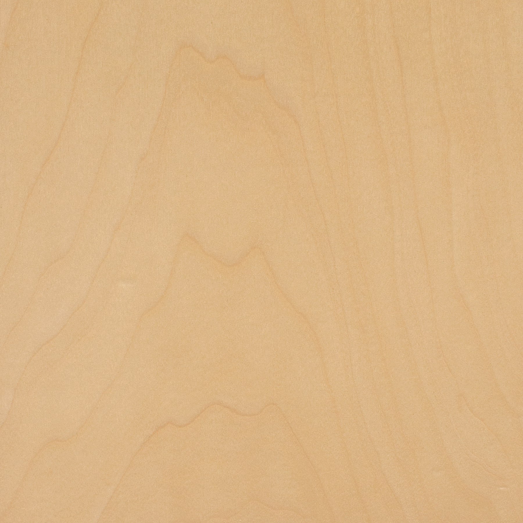 Wood & Veneer Natural Maple