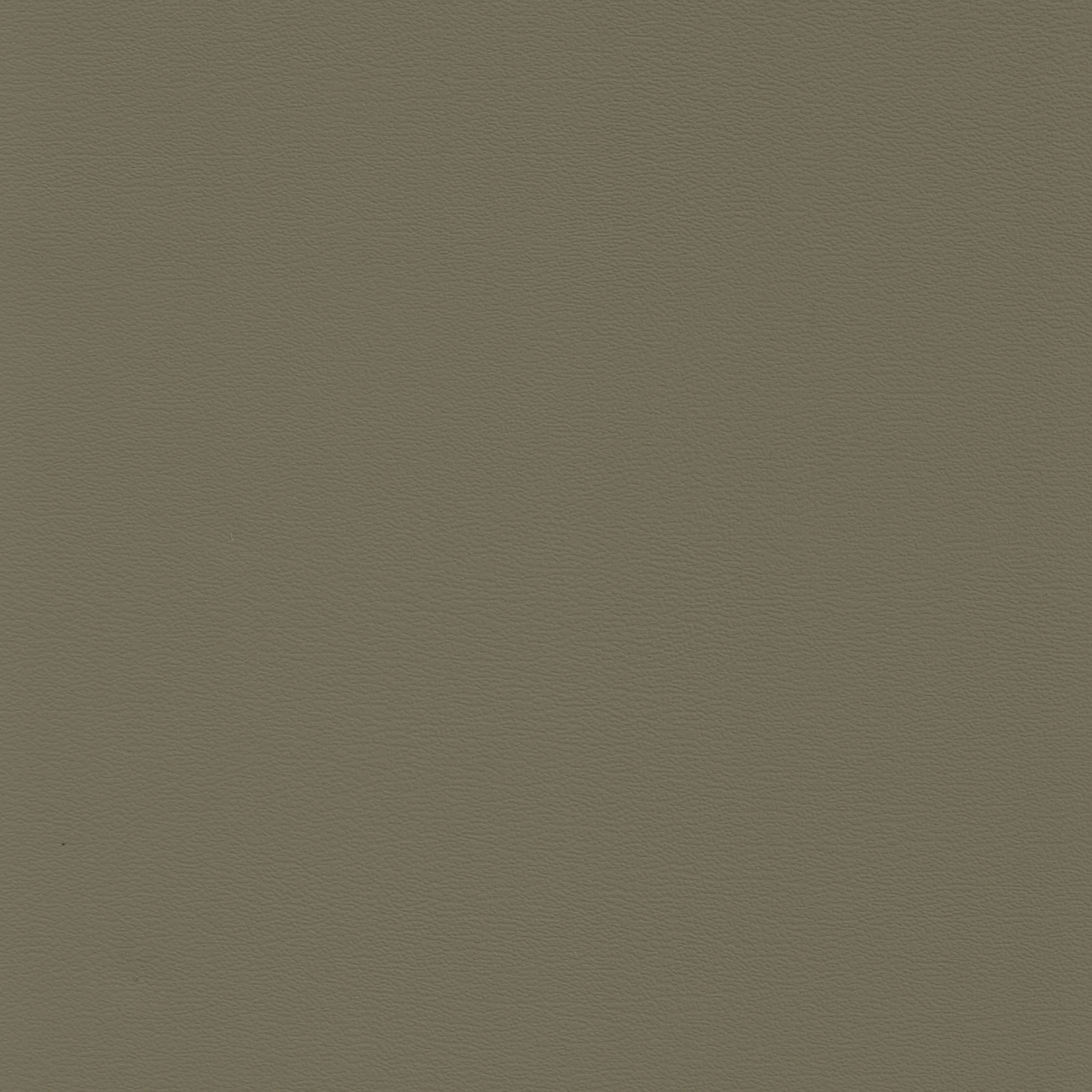 Taupe Fawn