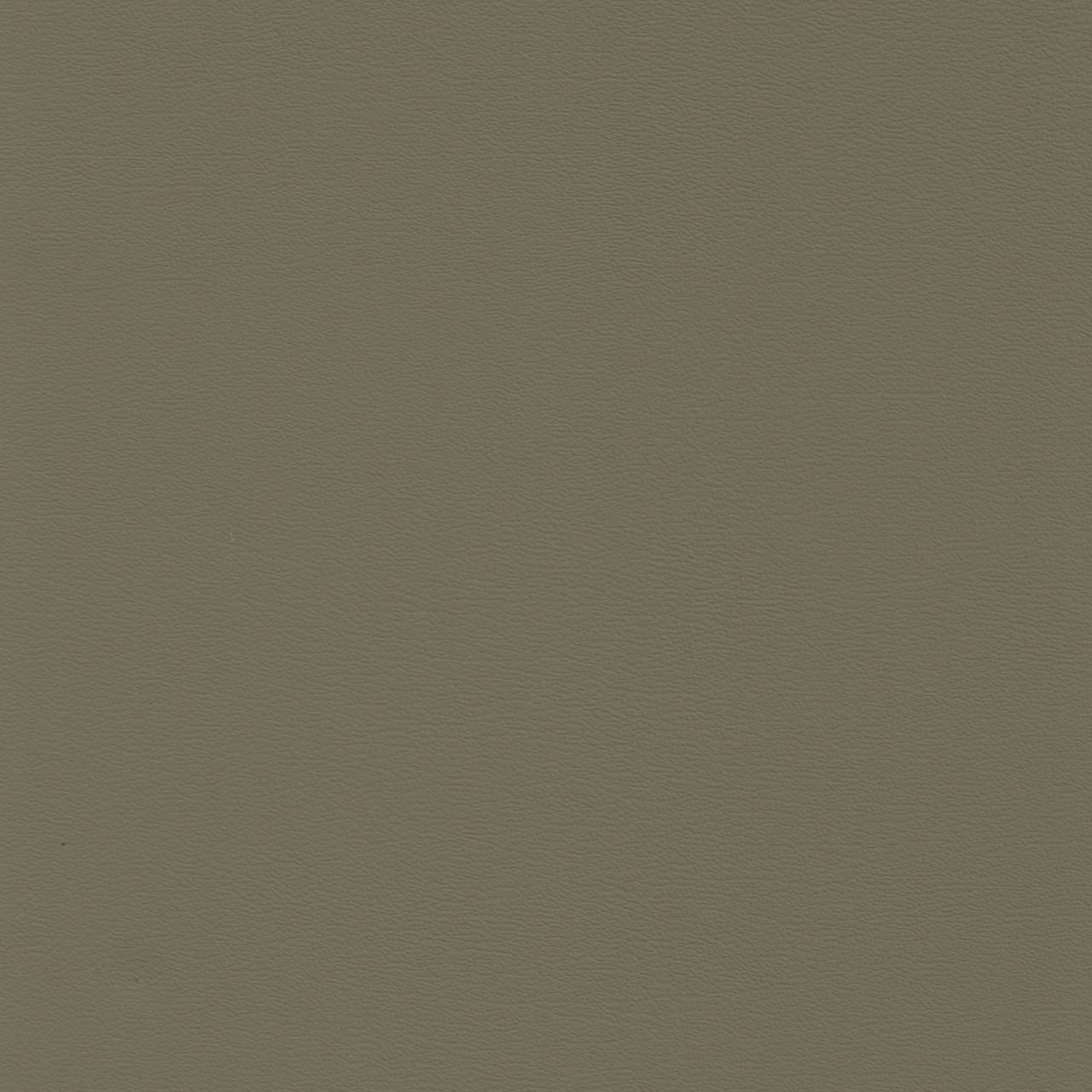 Taupe Fawn