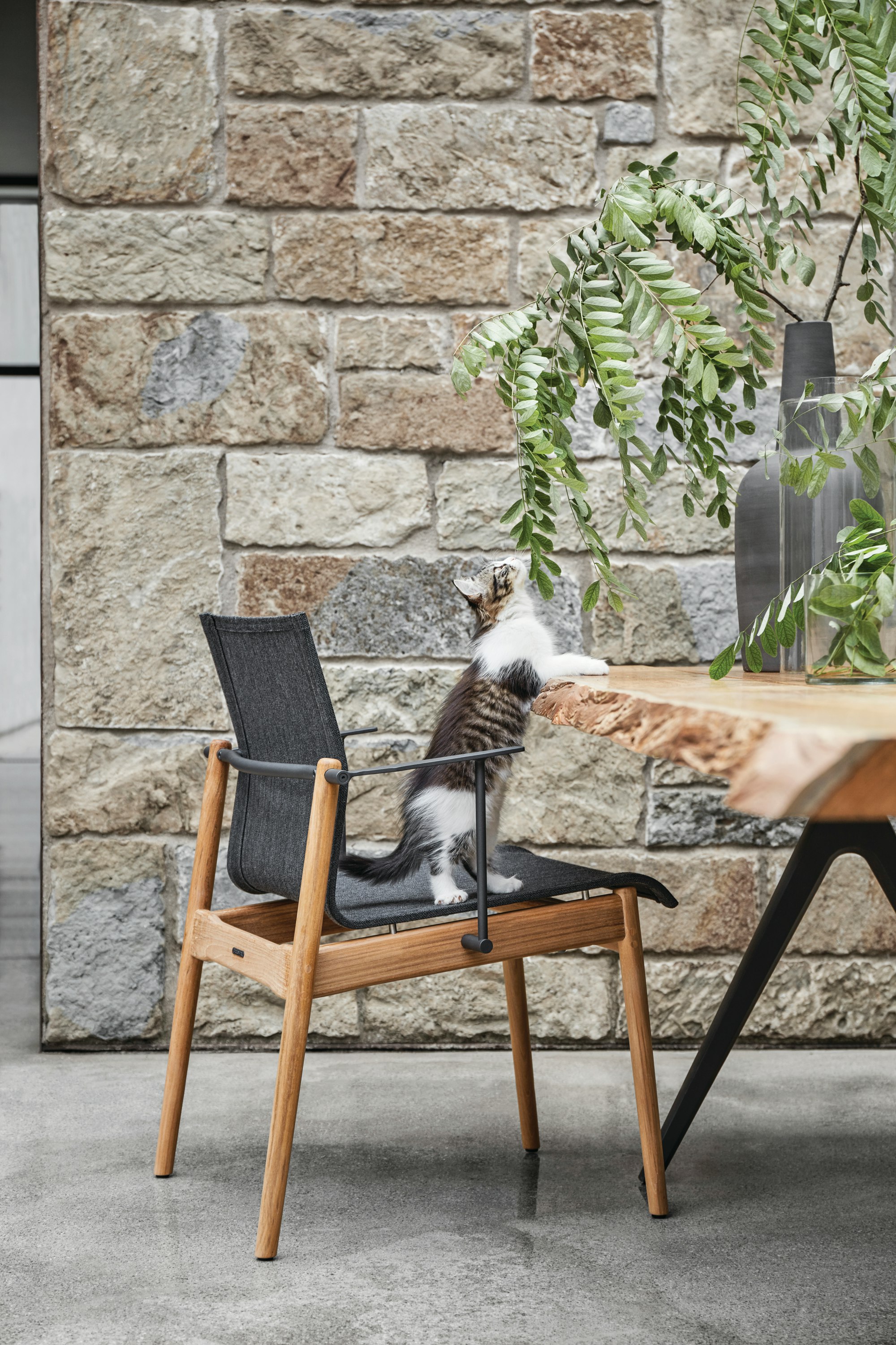 Sway Dining Chair