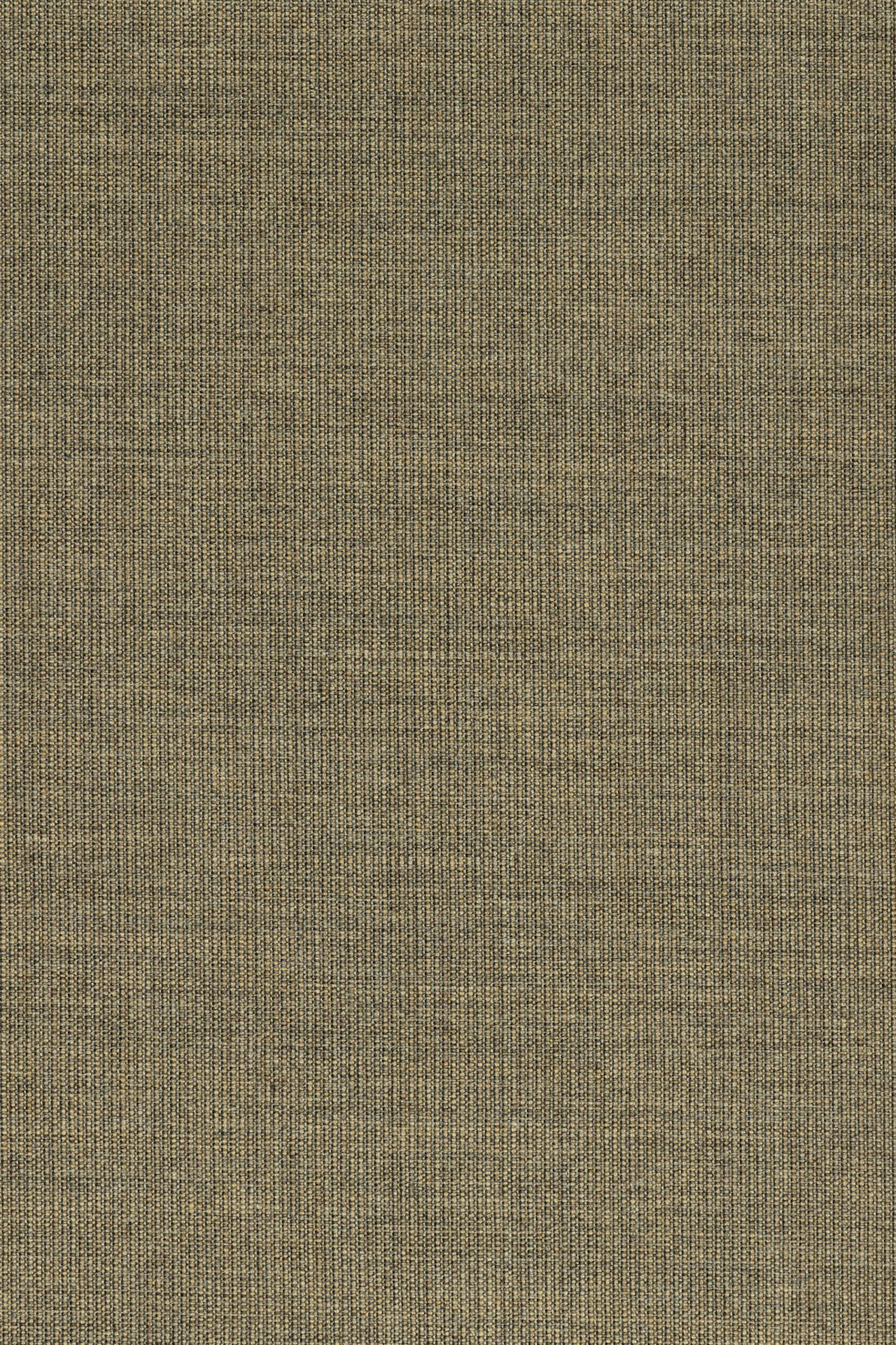 264