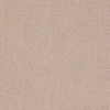 Light Burnt Umber