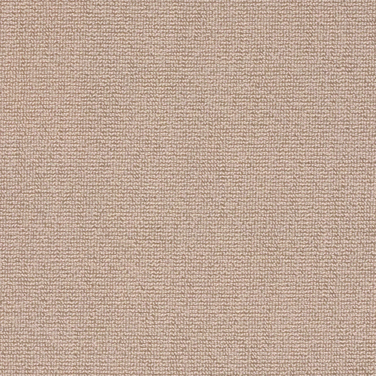Light Burnt Umber