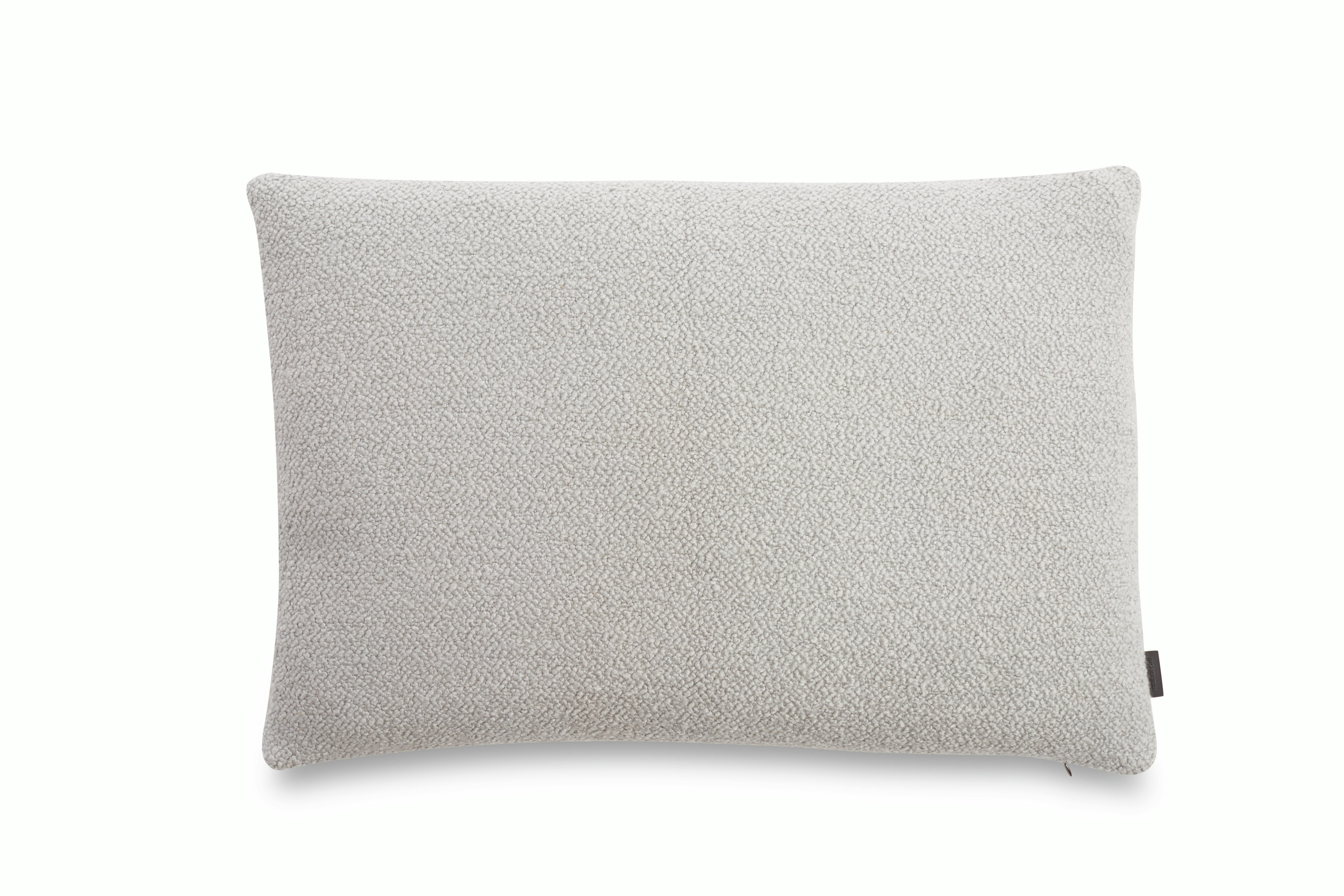 Roam Rectangular Throw Pillow
