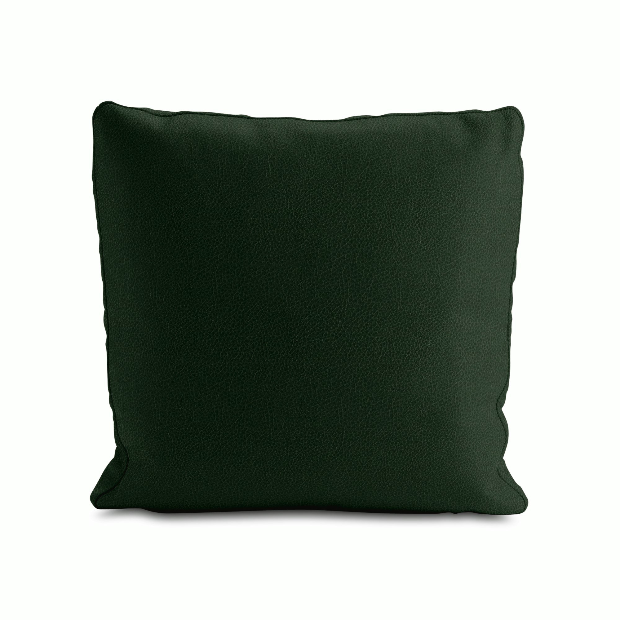 Reid Throw Pillow