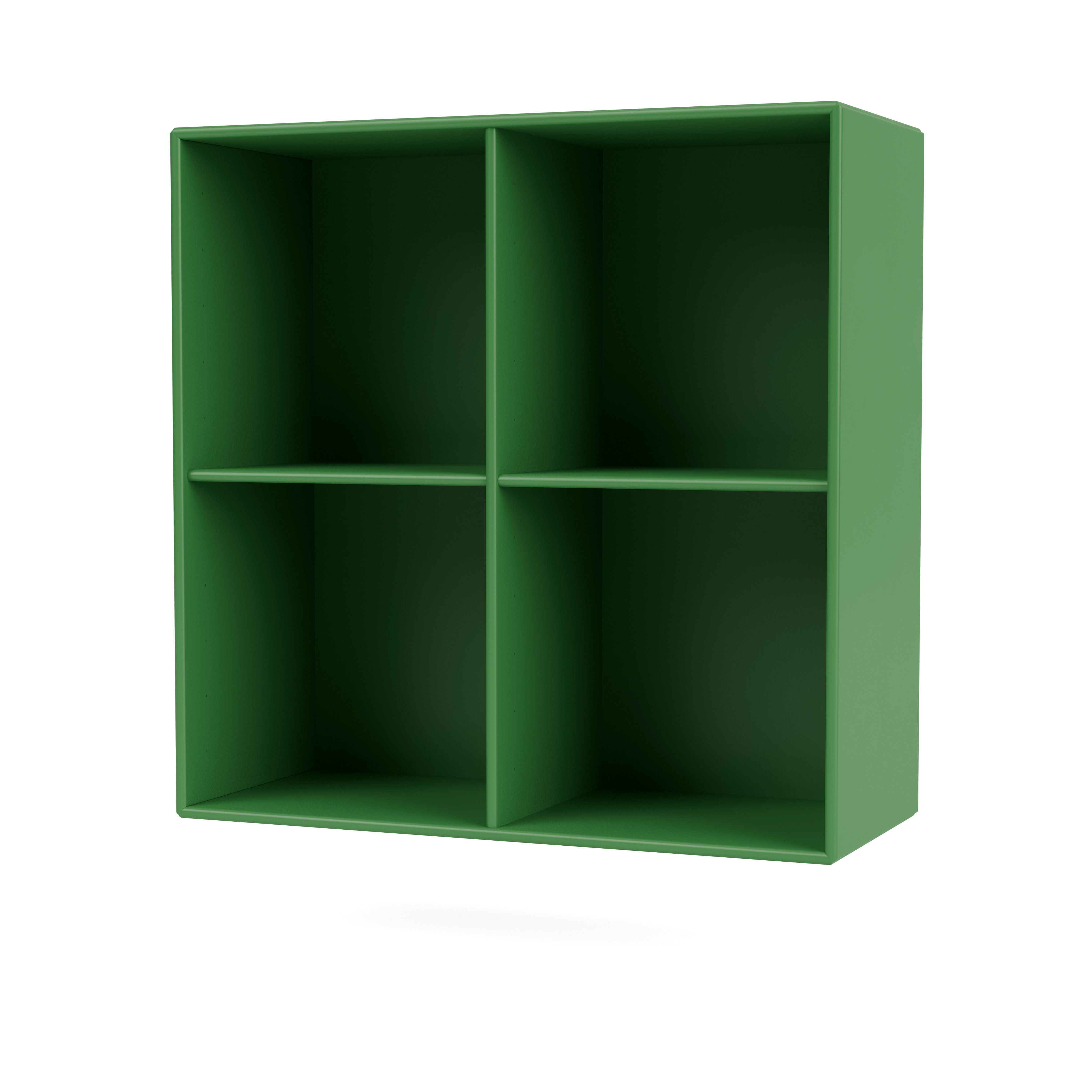 Show Bookcase in Parsley