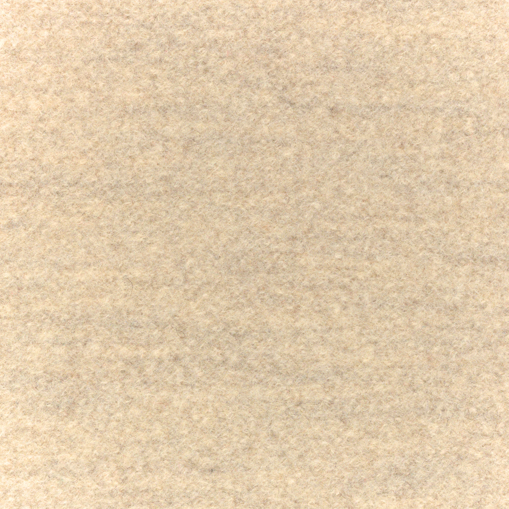 Steelcut Oat