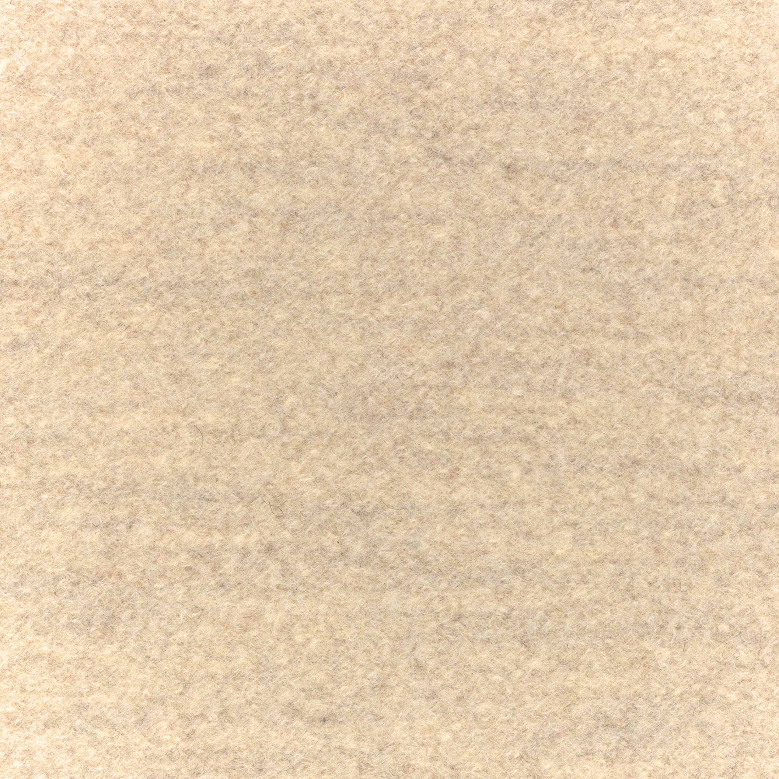 Steelcut Oat