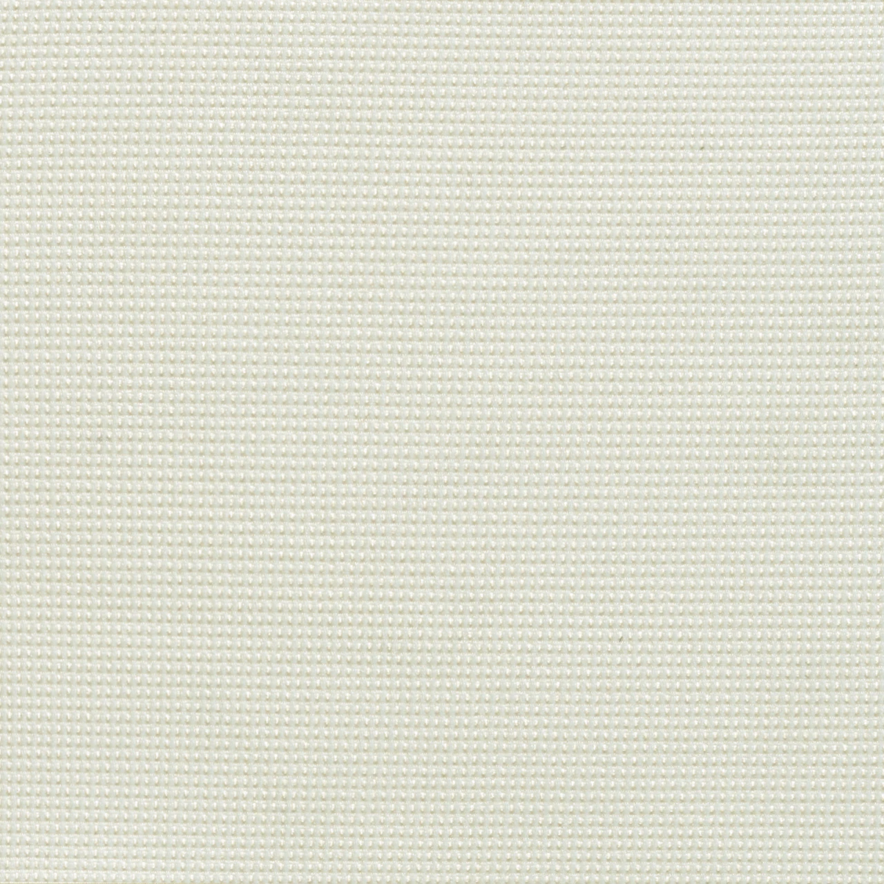 Studio White