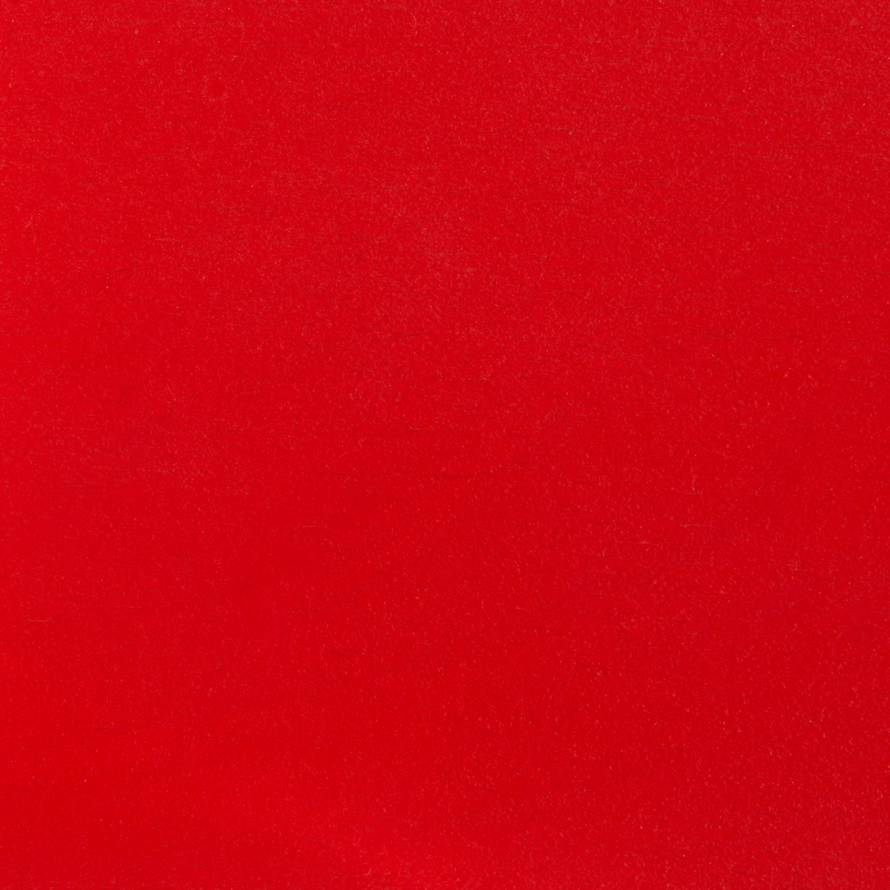 Scarlet Red Beech