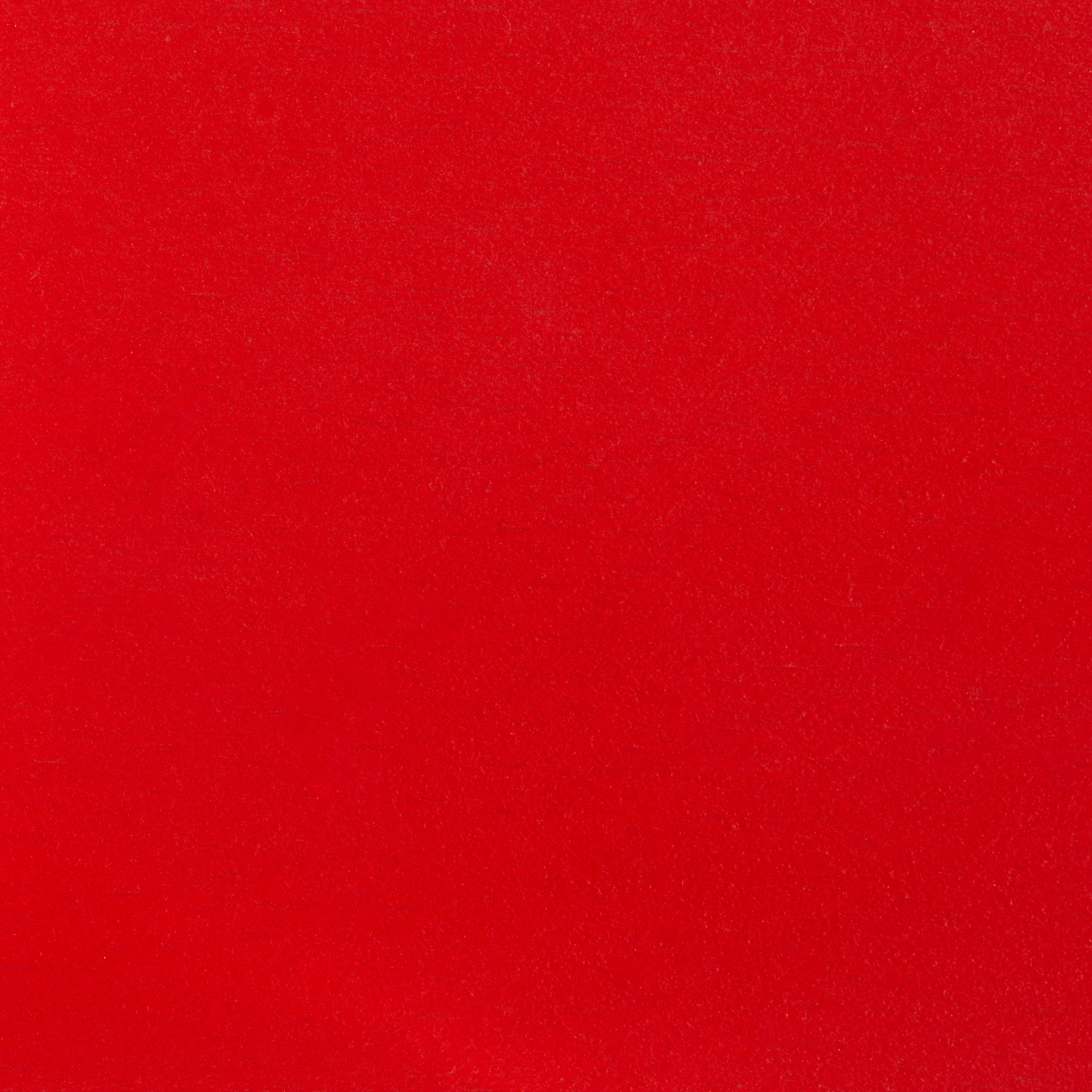 Scarlet Red Beech