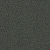 Carbon Dark
