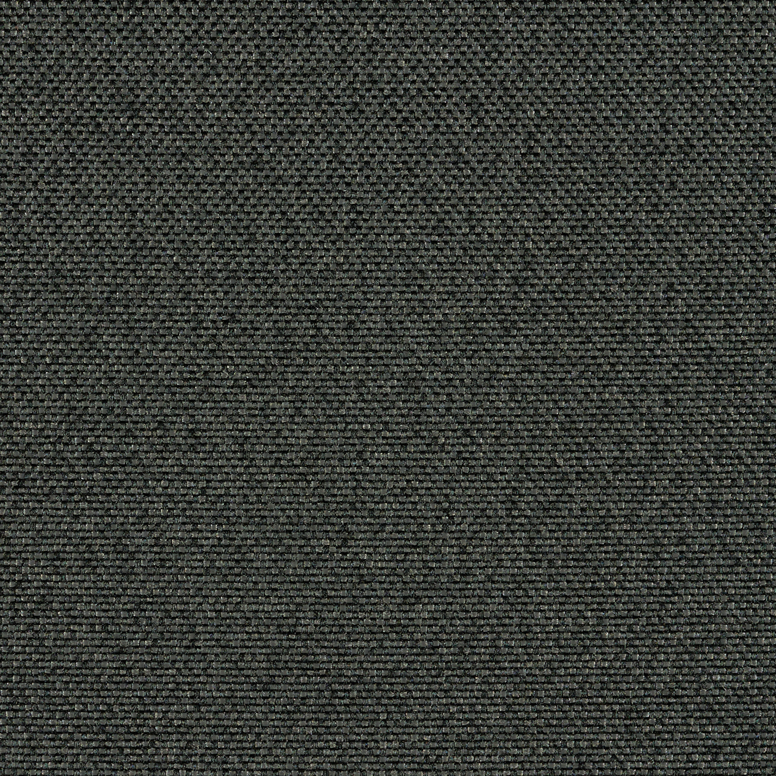 Carbon Dark
