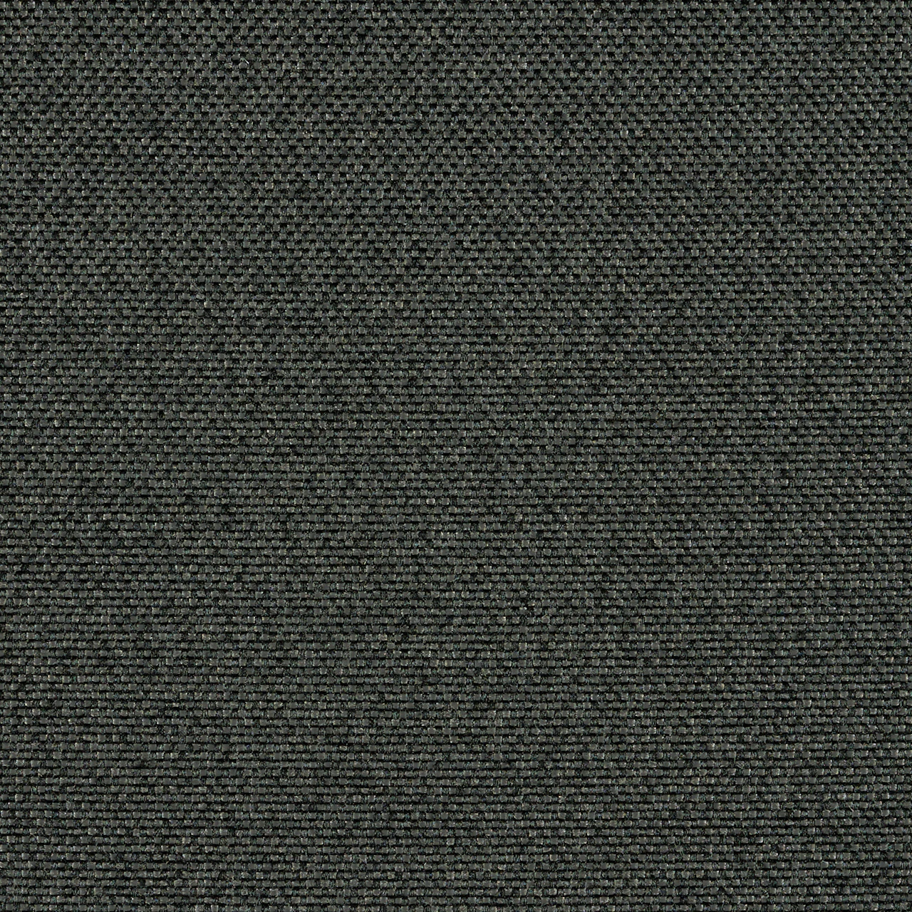 Carbon Dark
