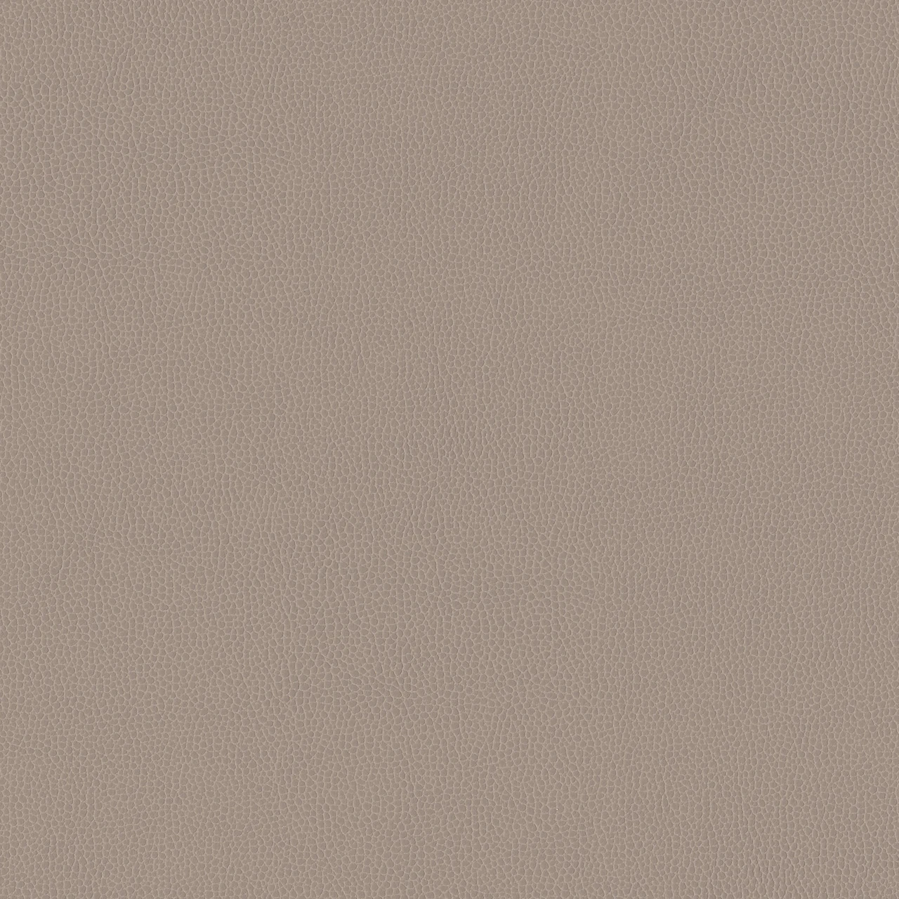 Dove