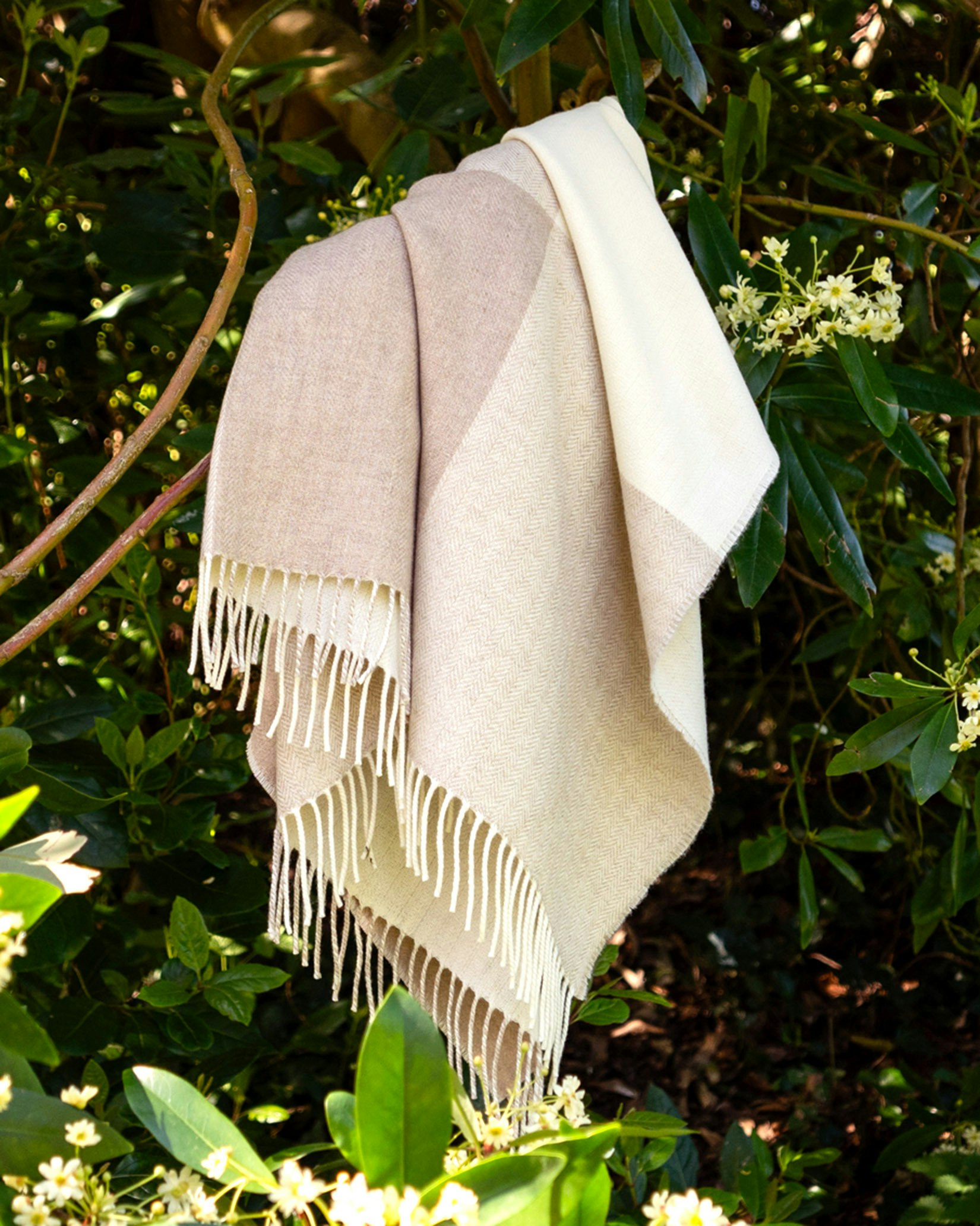 Stella Checker Cashmere Throw