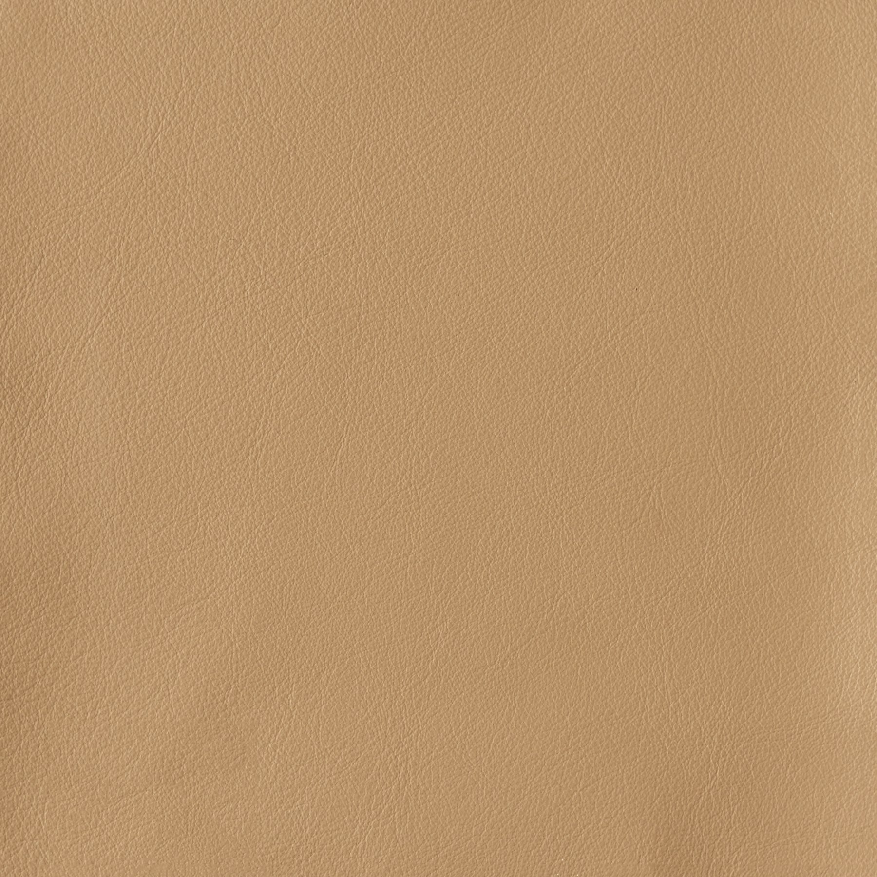 Bristol Leather Parchment