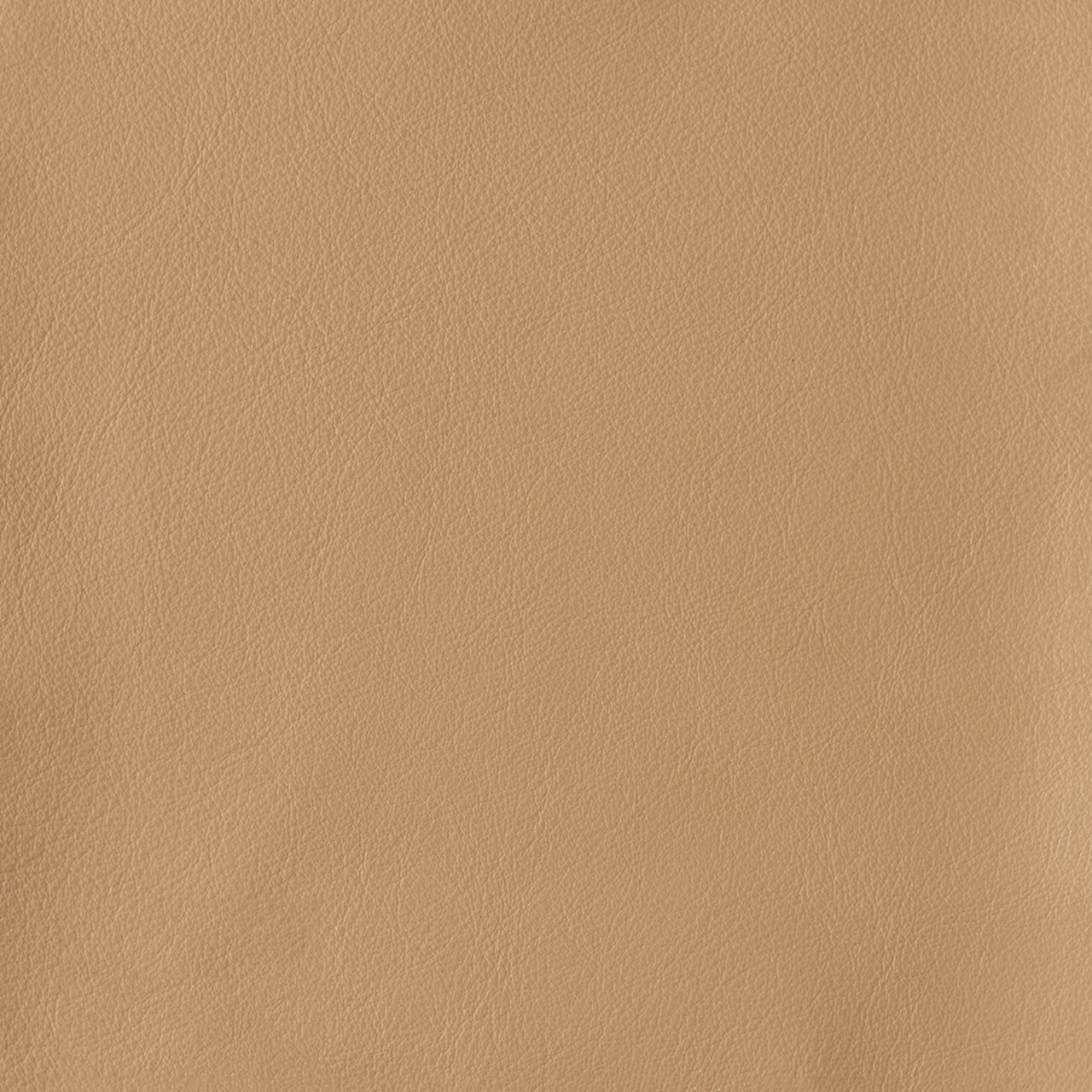 Parchment