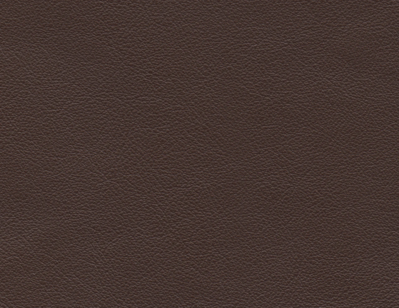 Coffee Bean (dark Br