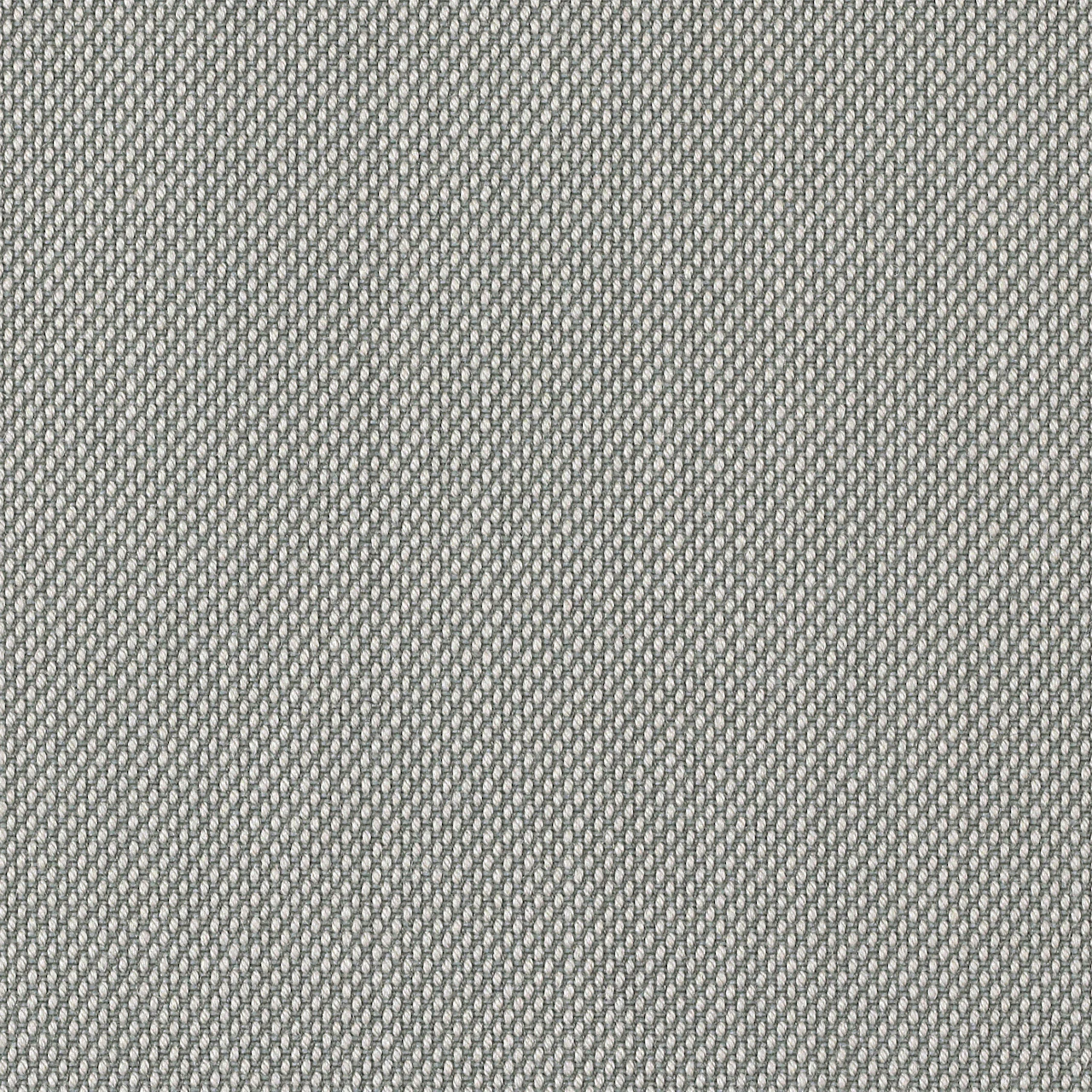 113