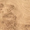 White Oak Burl