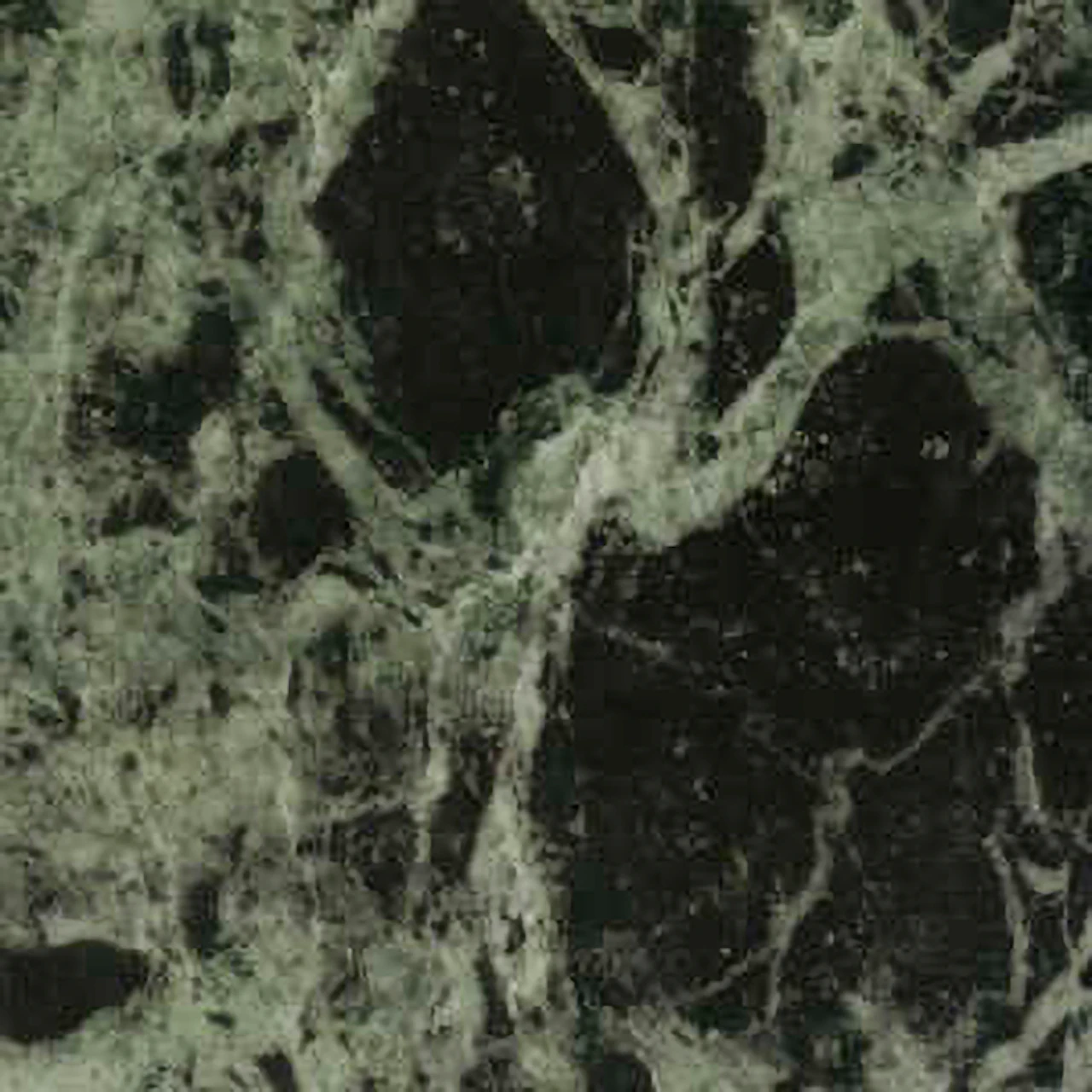 Verde Alpi Marble