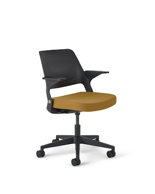 Ollo with Shell Back
