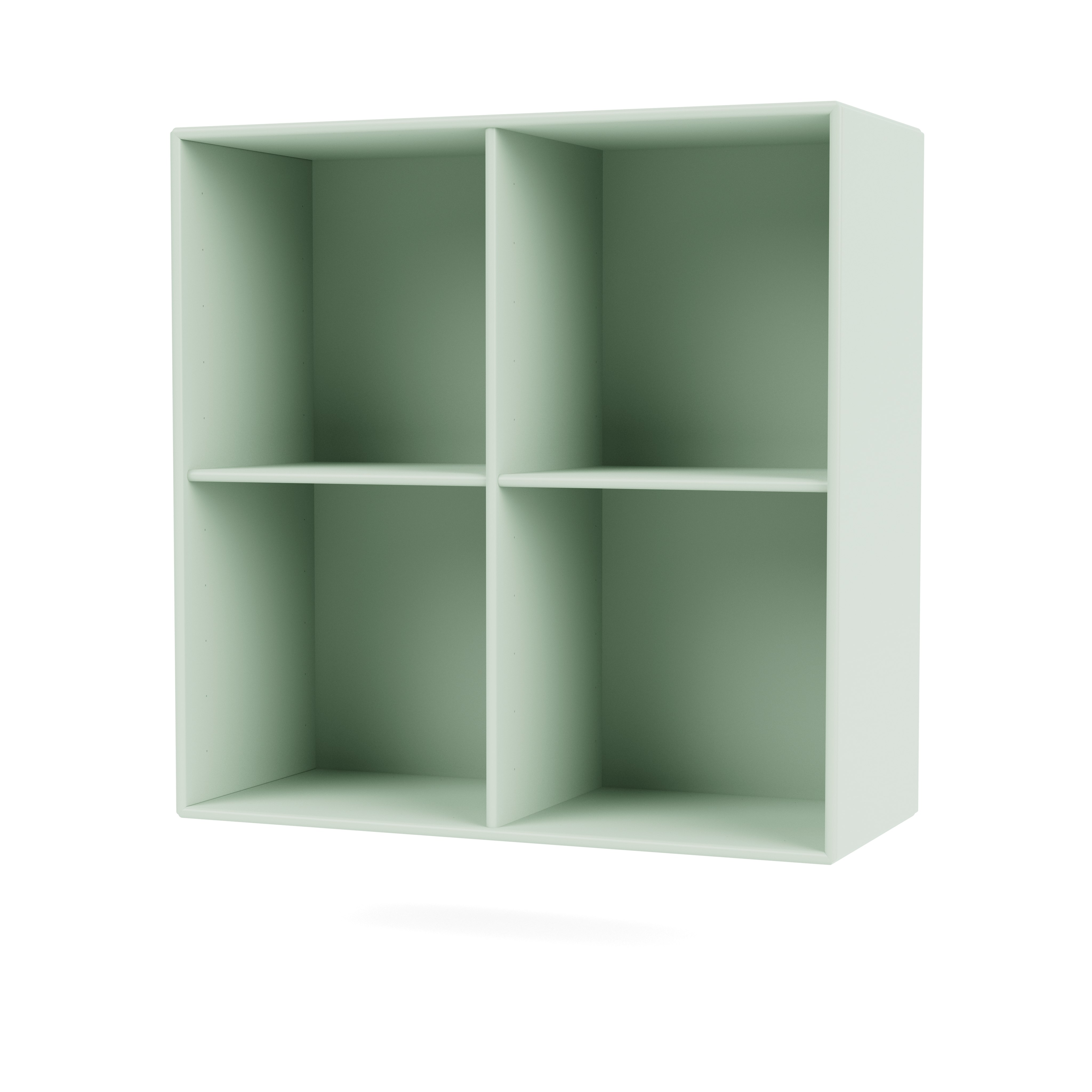 Show Bookcase in Mist