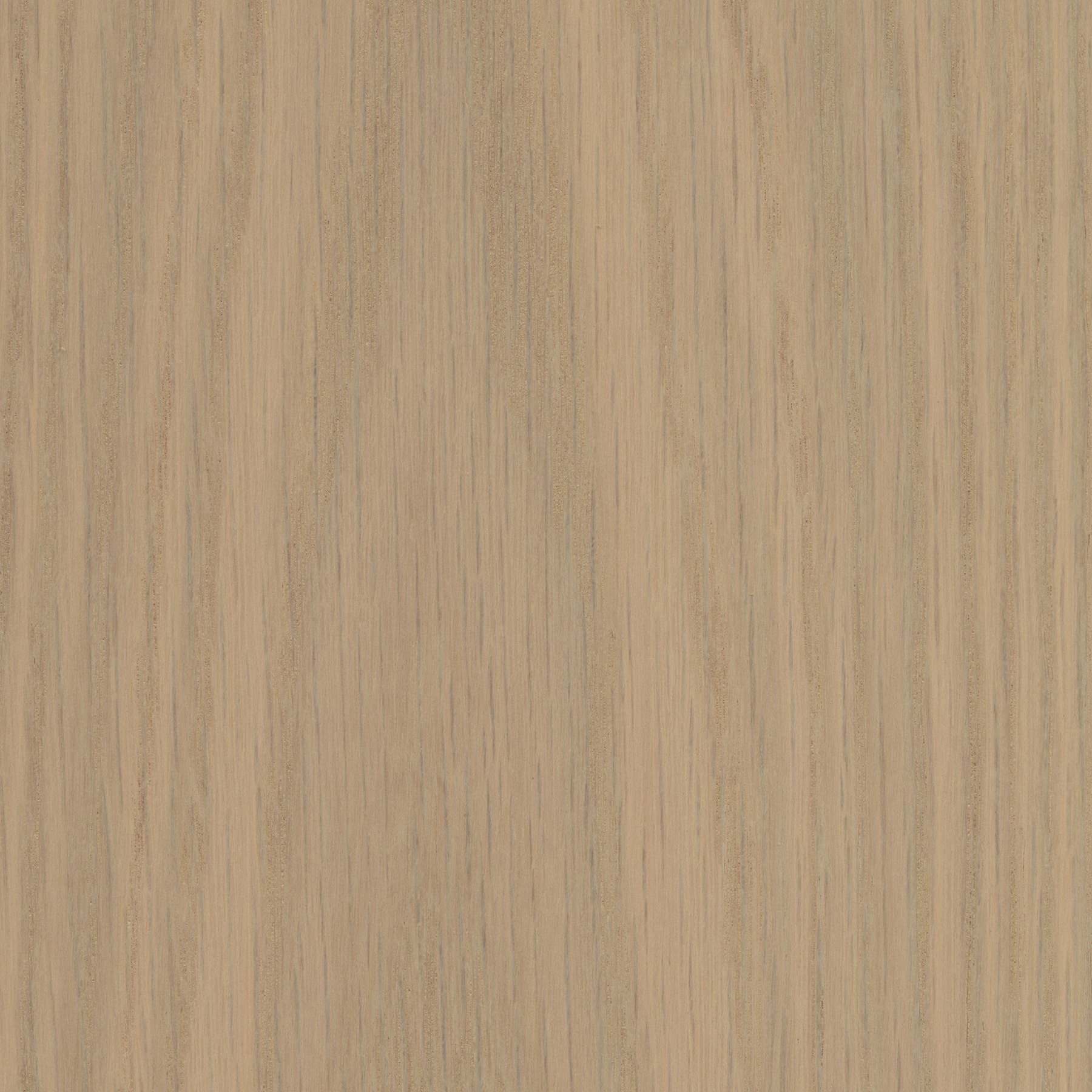 Central Palette - Veneer Blonde Oak