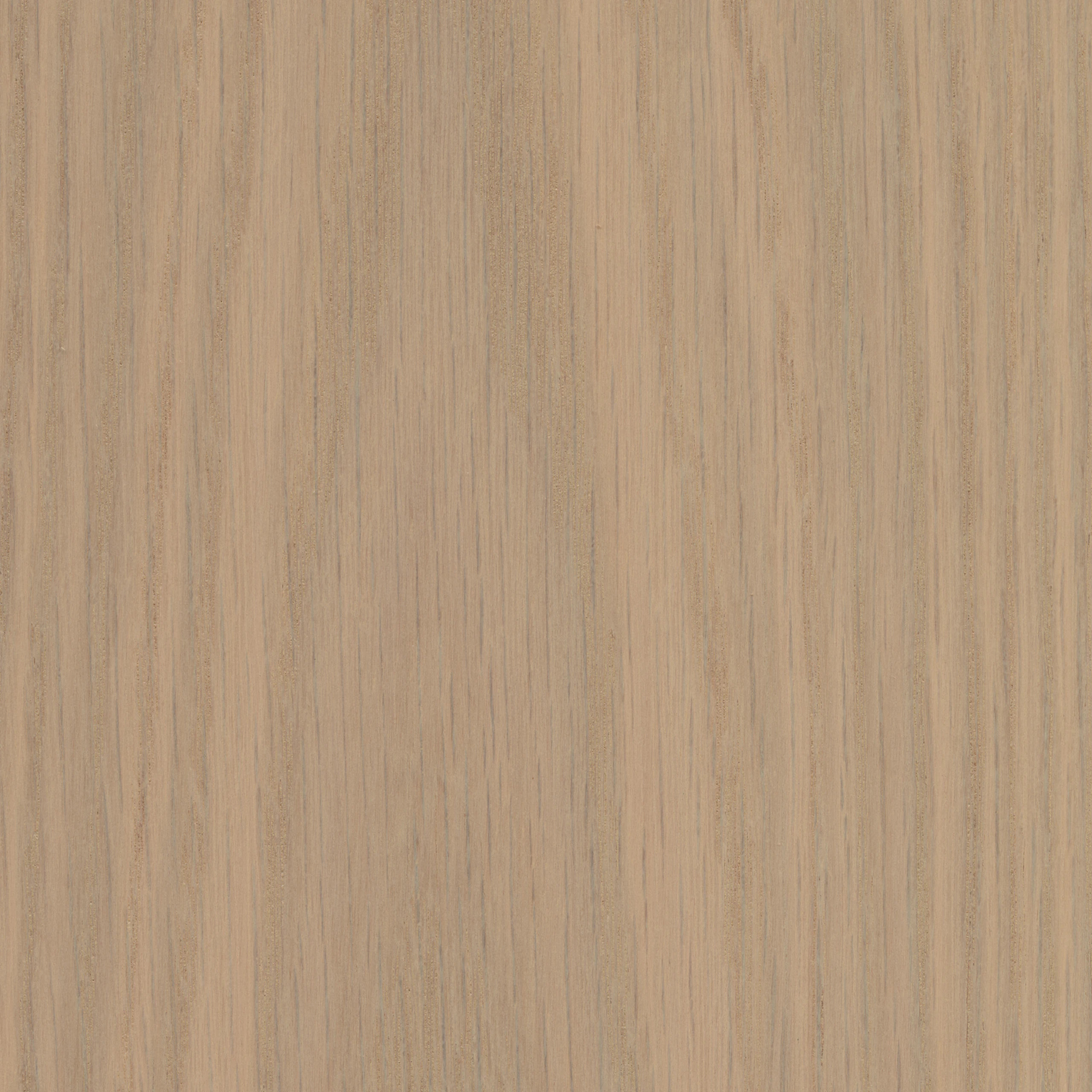 Blonde Oak