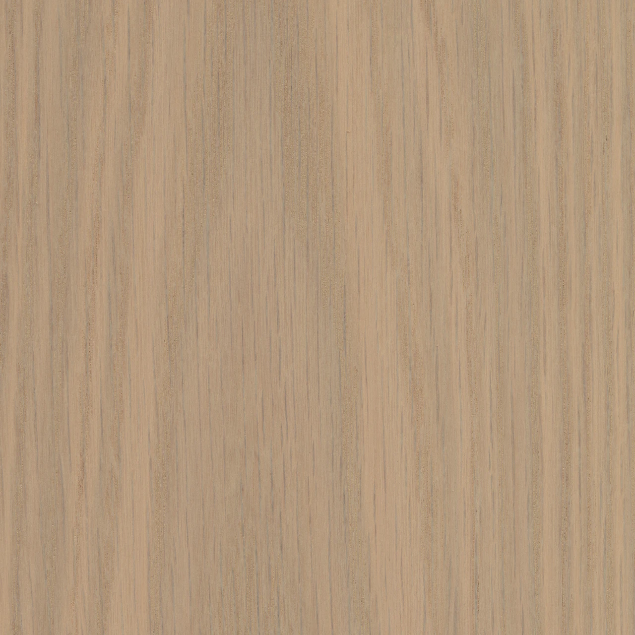 Blonde Oak