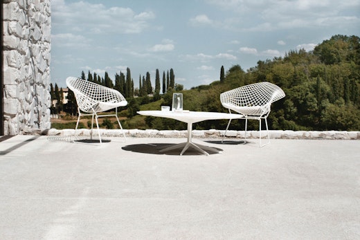 Petal Table and White Bertoia Diamond Chairs