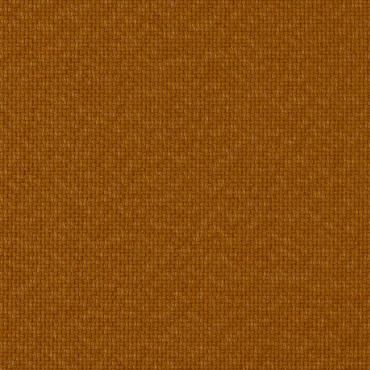 Ochre Dark