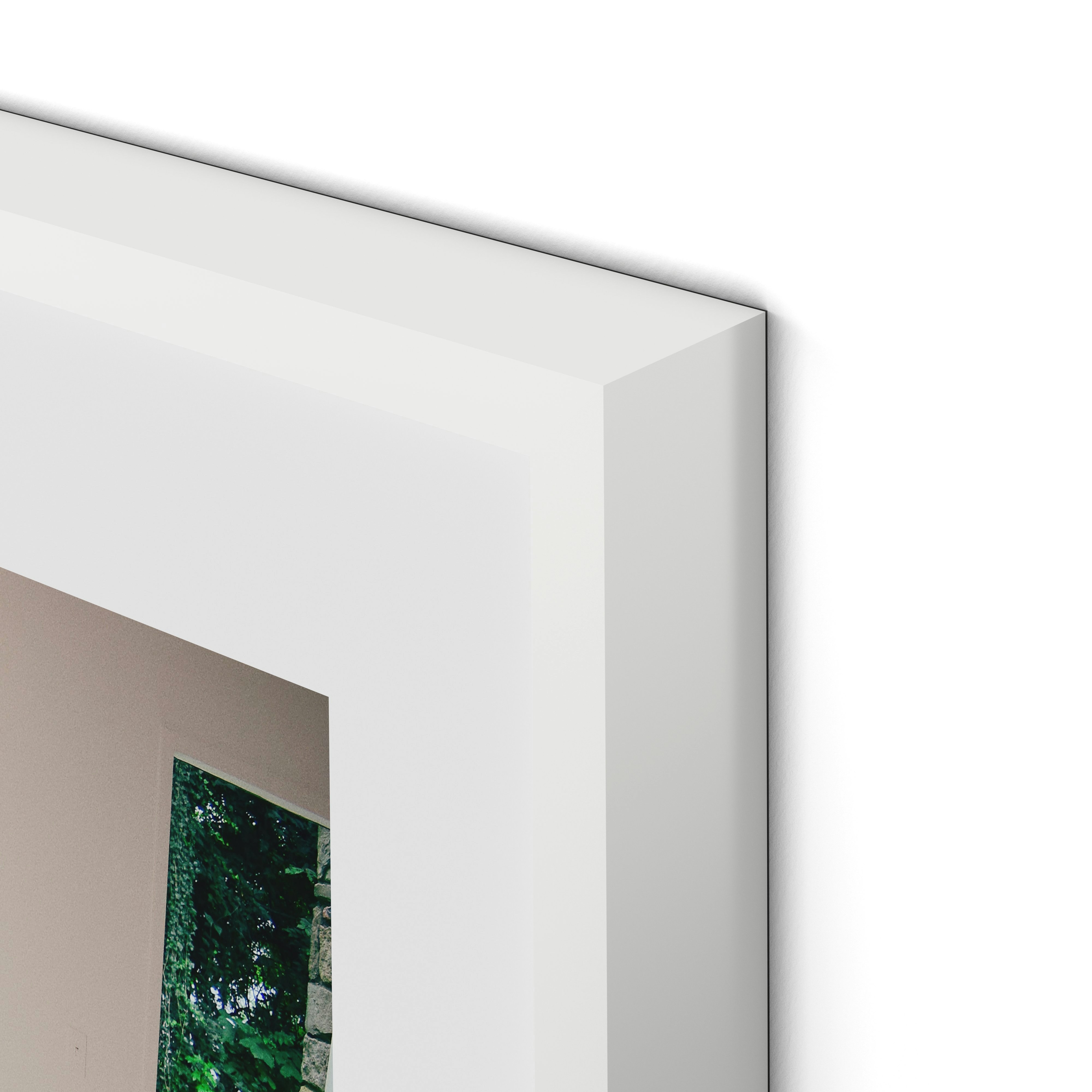 Squatters Rights 2 - 24 x 32, White Maple