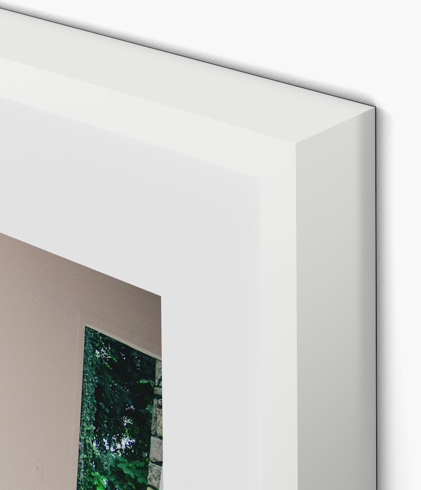 Squatters Rights 2 - 24 x 32, White Maple