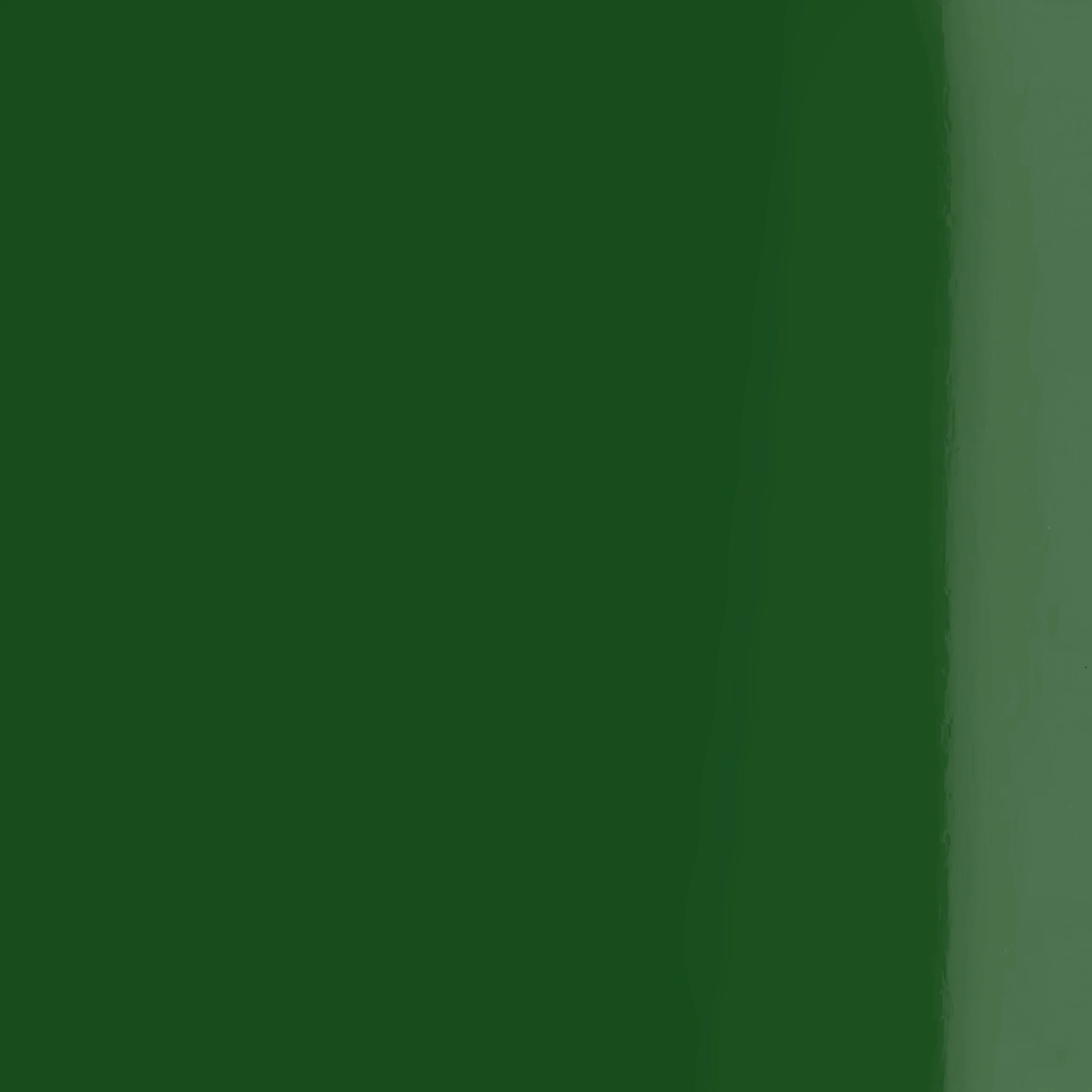 Spinach Green