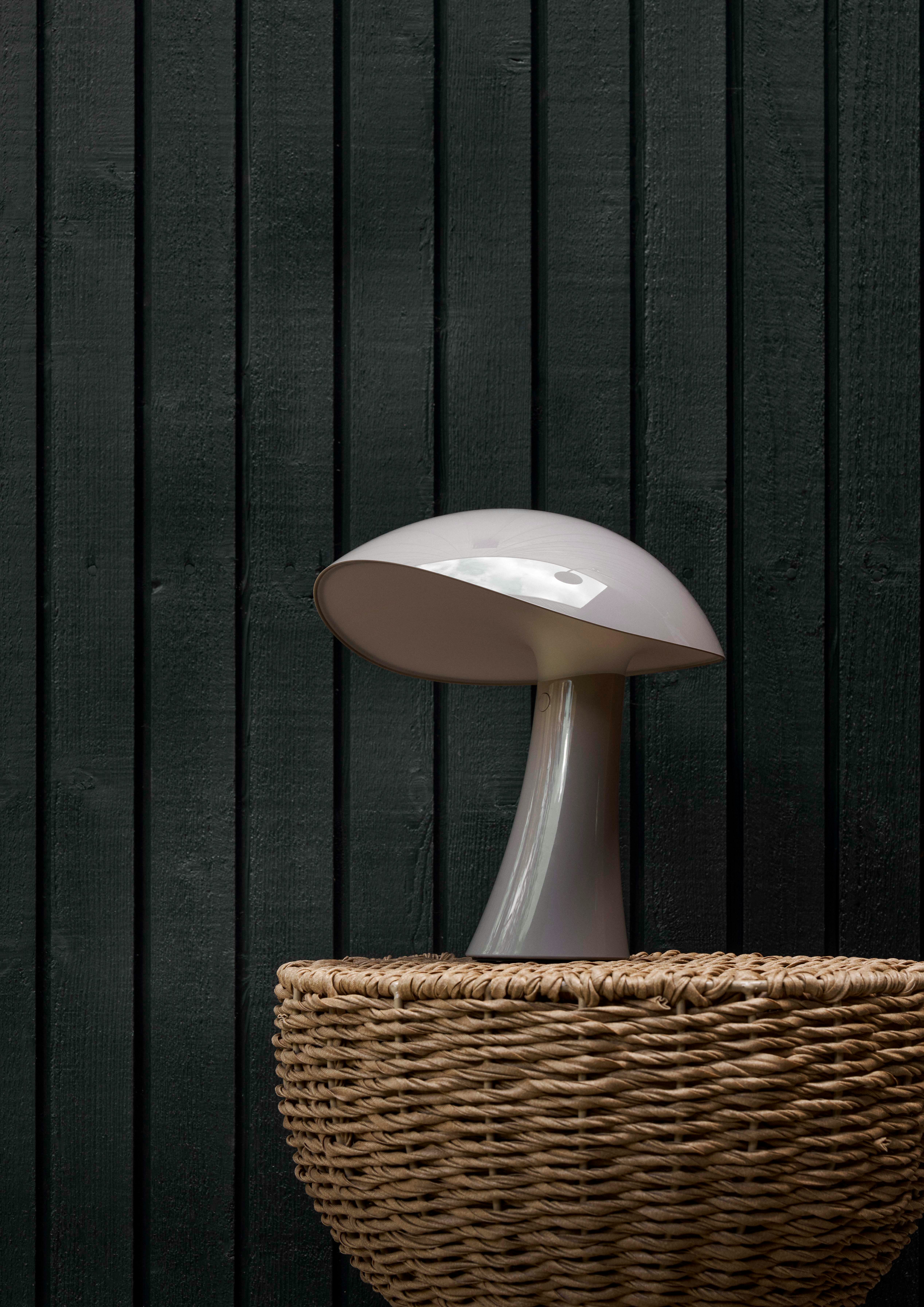 Rumee 220 Portable Lamp