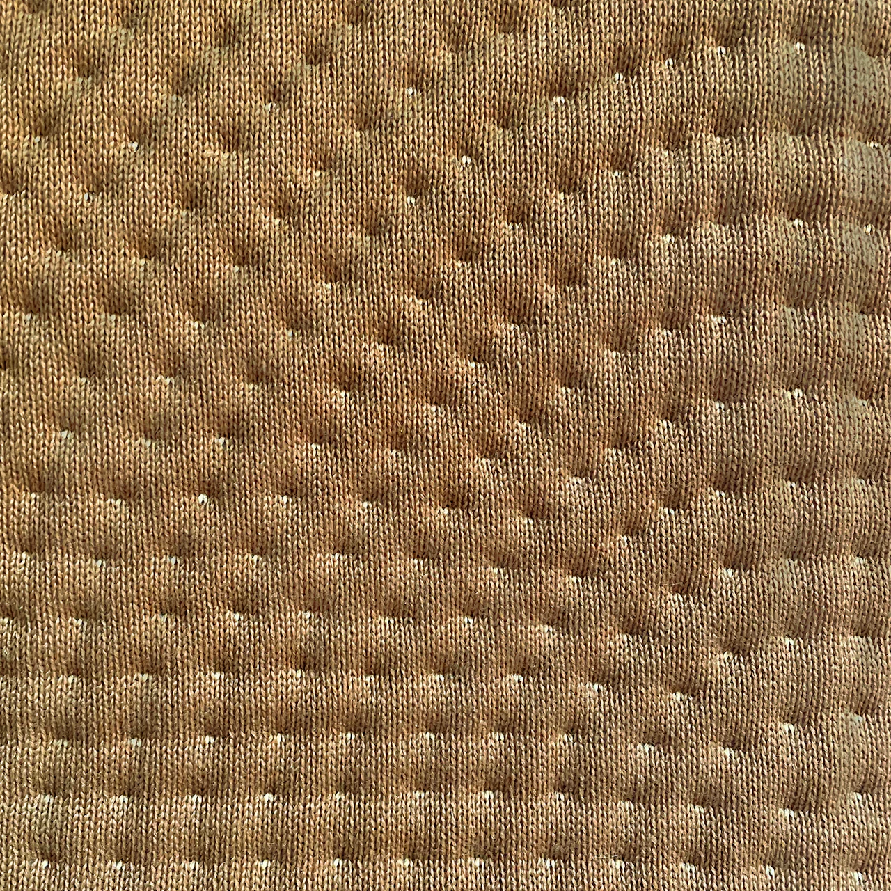Mustard Seed