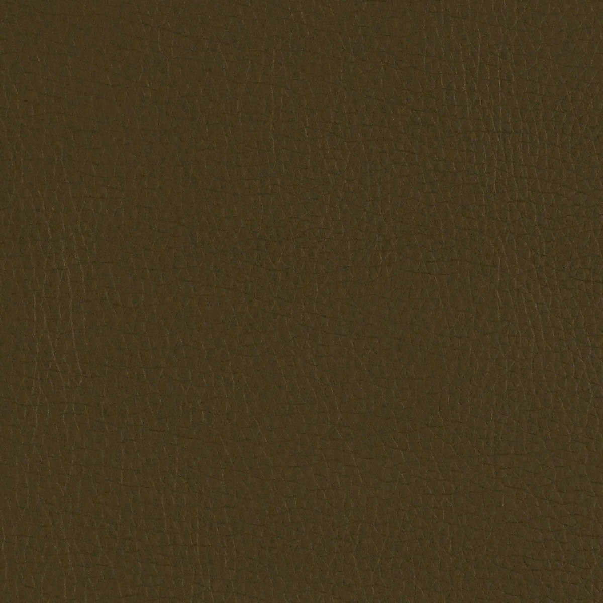 Canter Epu Willow