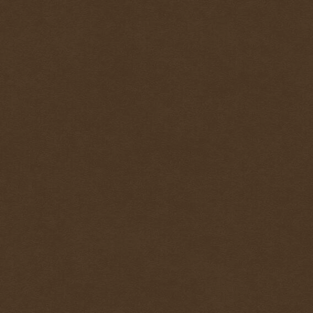 Coffee Bean