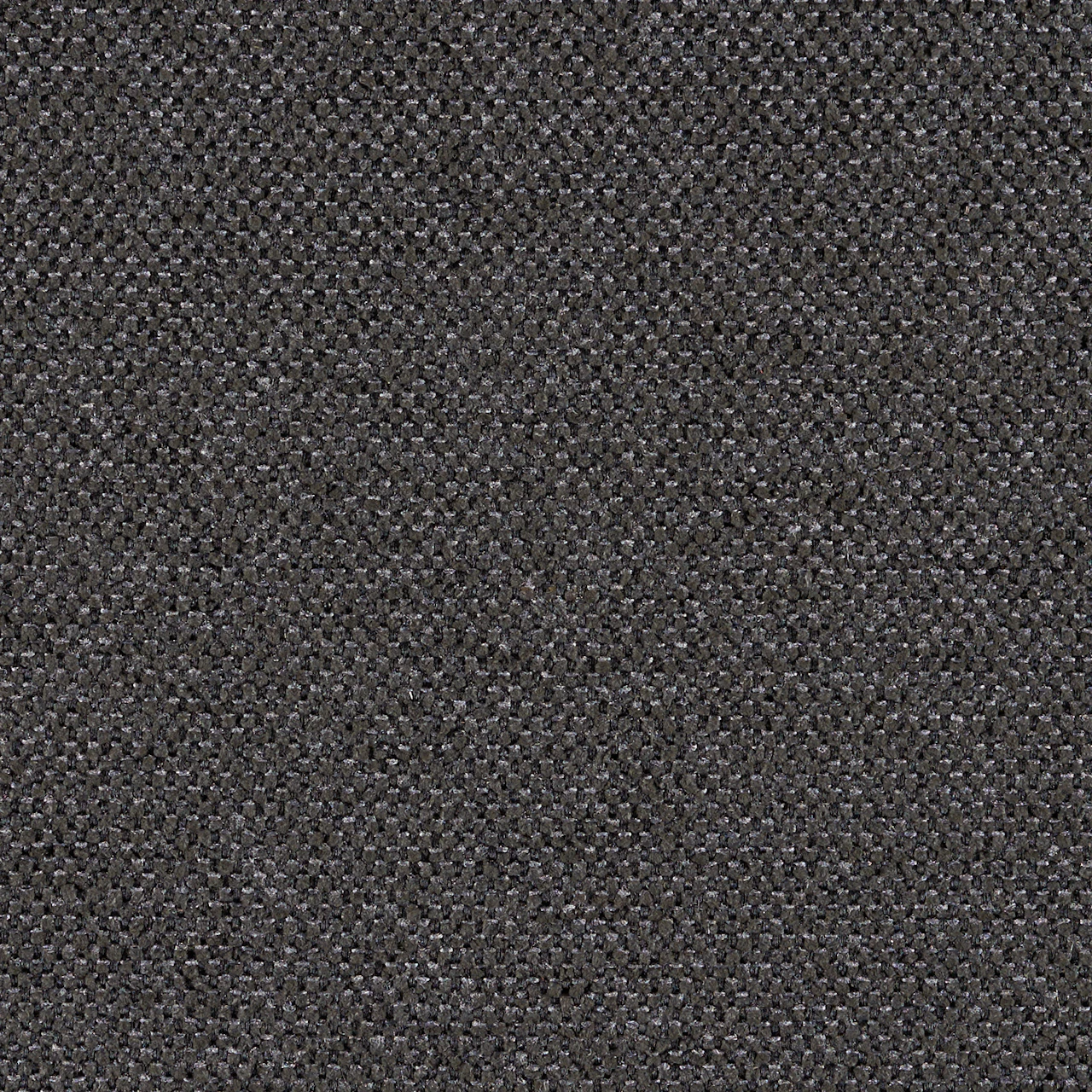 Grey Black