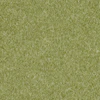 Pesto