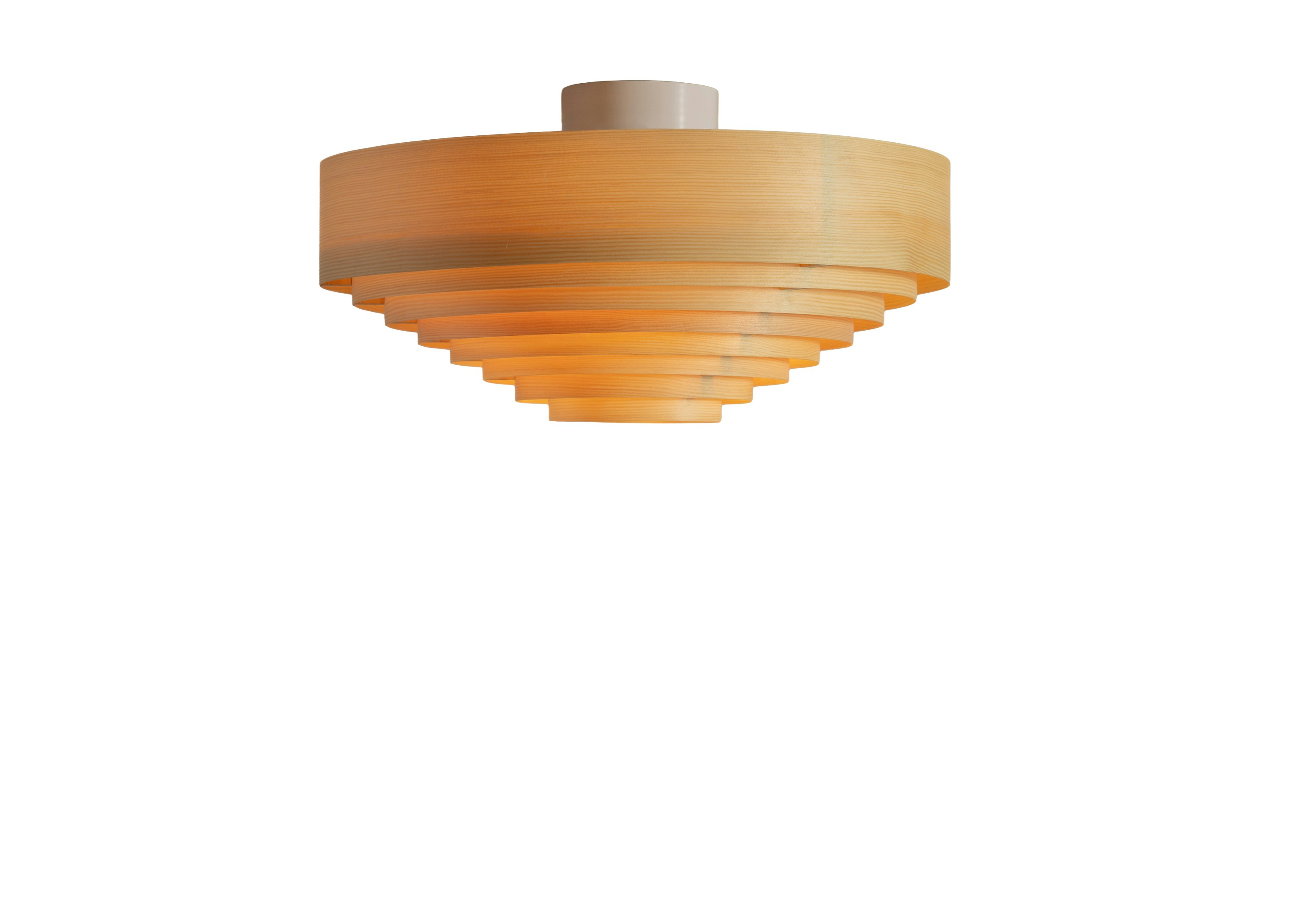 1005 Hans Ceiling Light