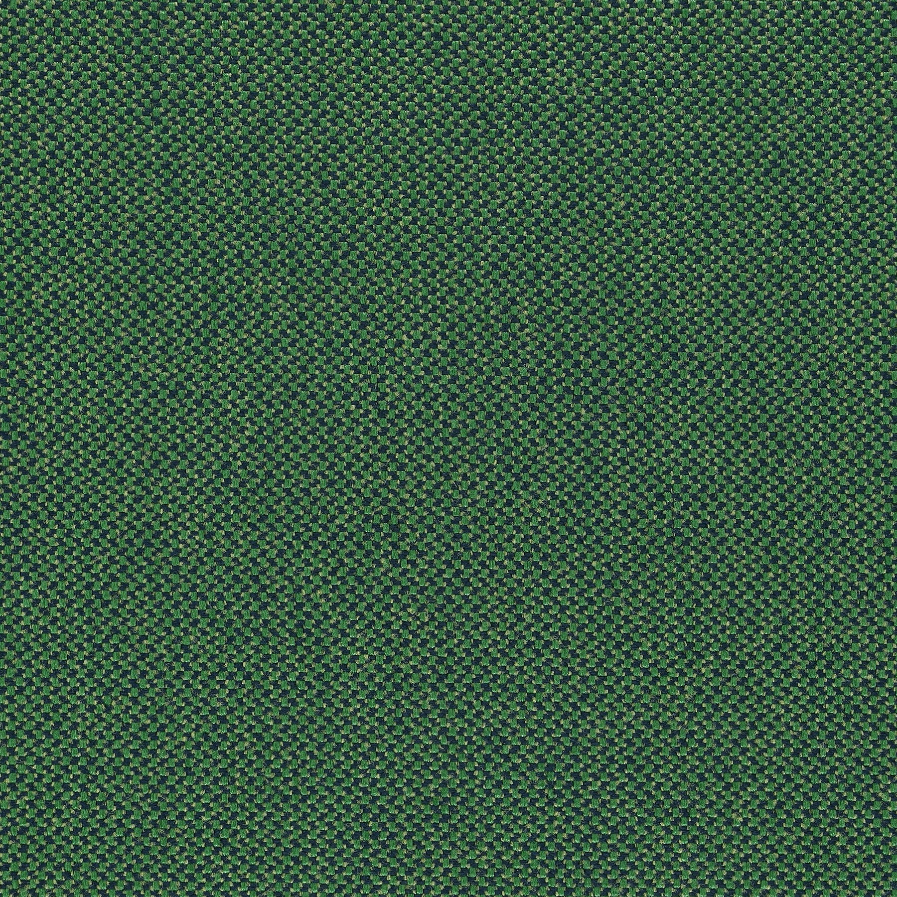 Fractal Verdant