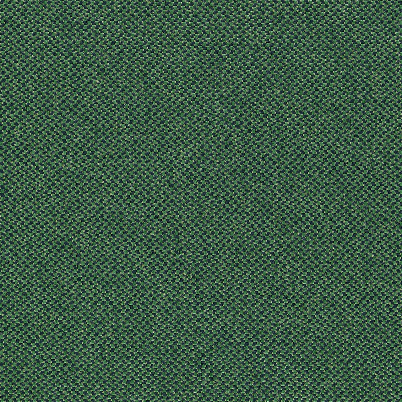 Verdant